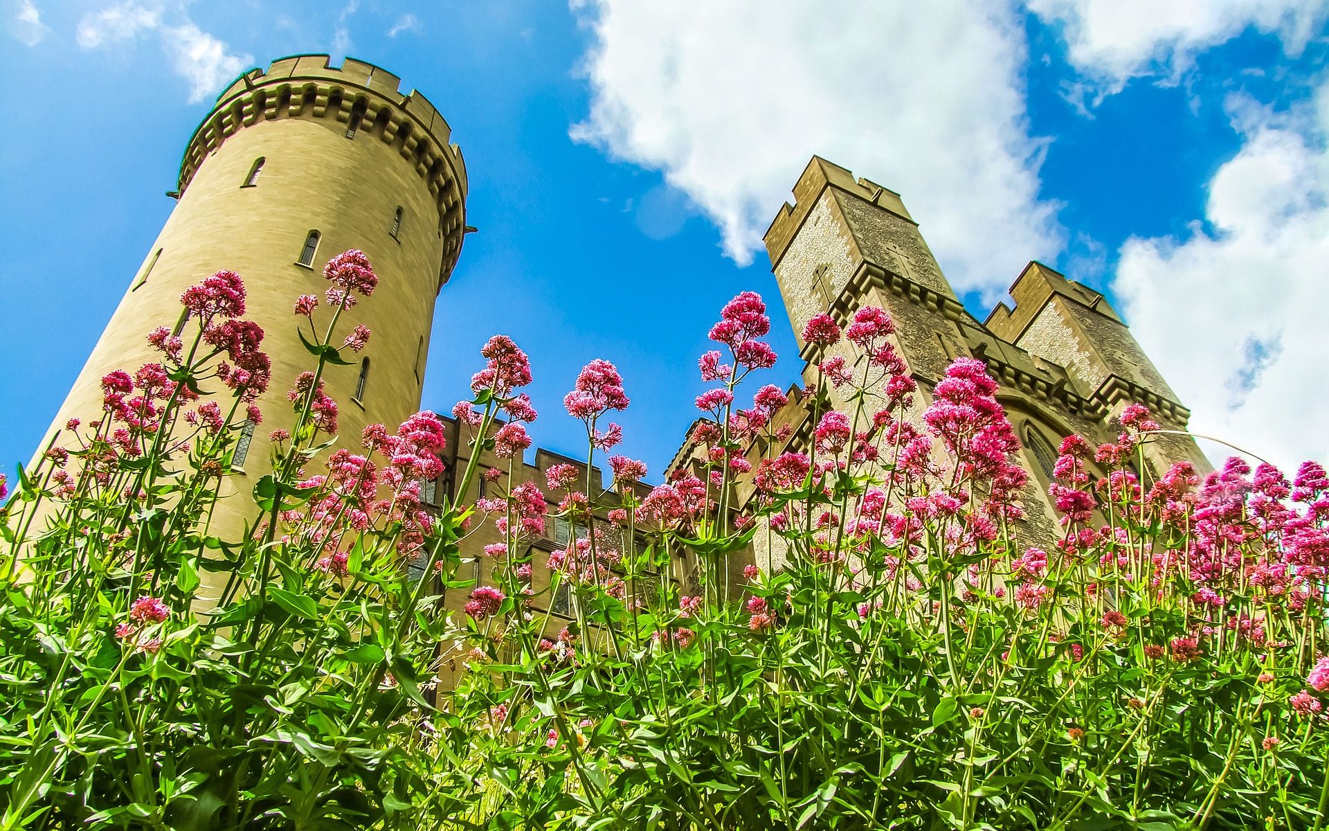 Tłumacz języka angielskiego Katowice
