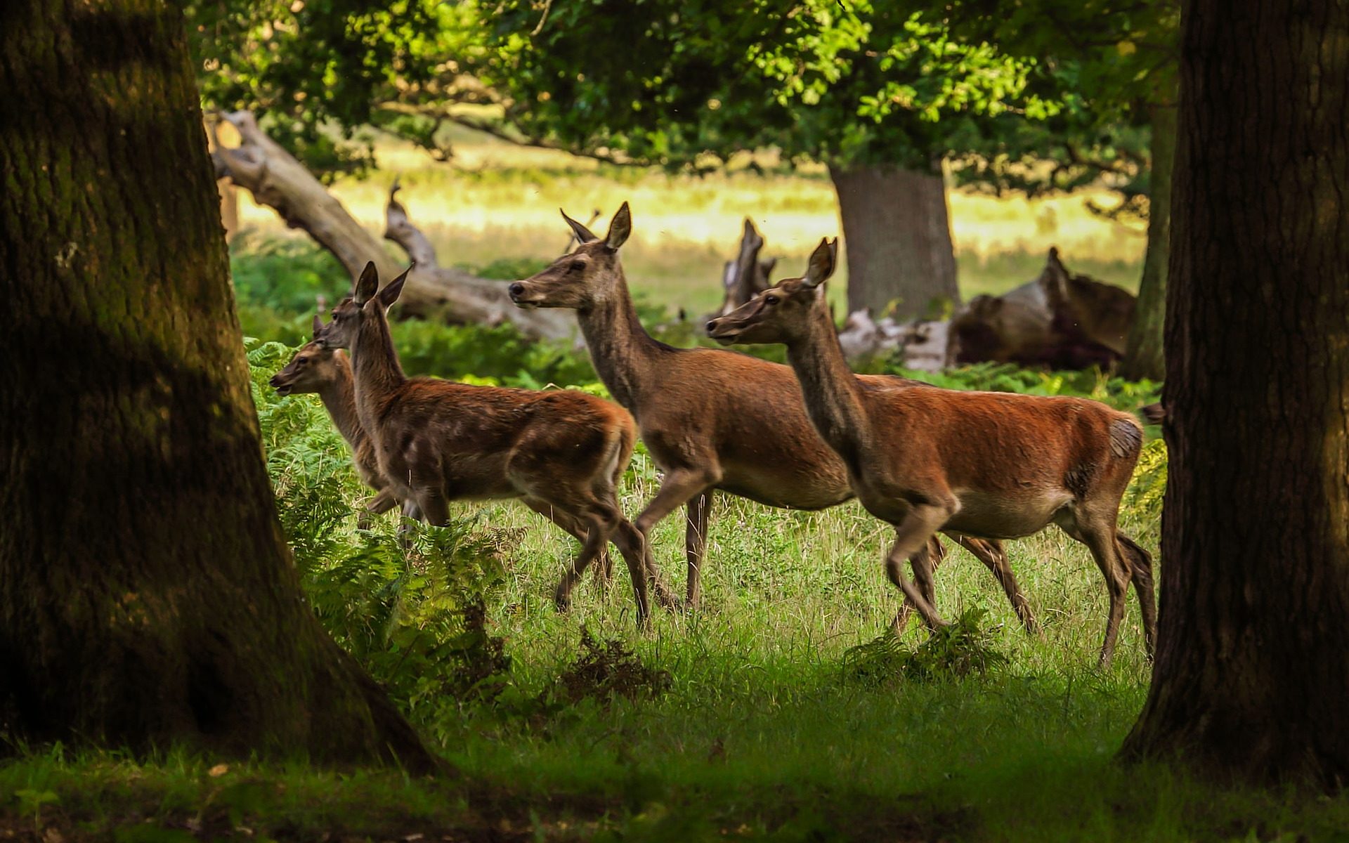 Tłumaczenia artykułów naukowych na język angielski Stalowa Wola