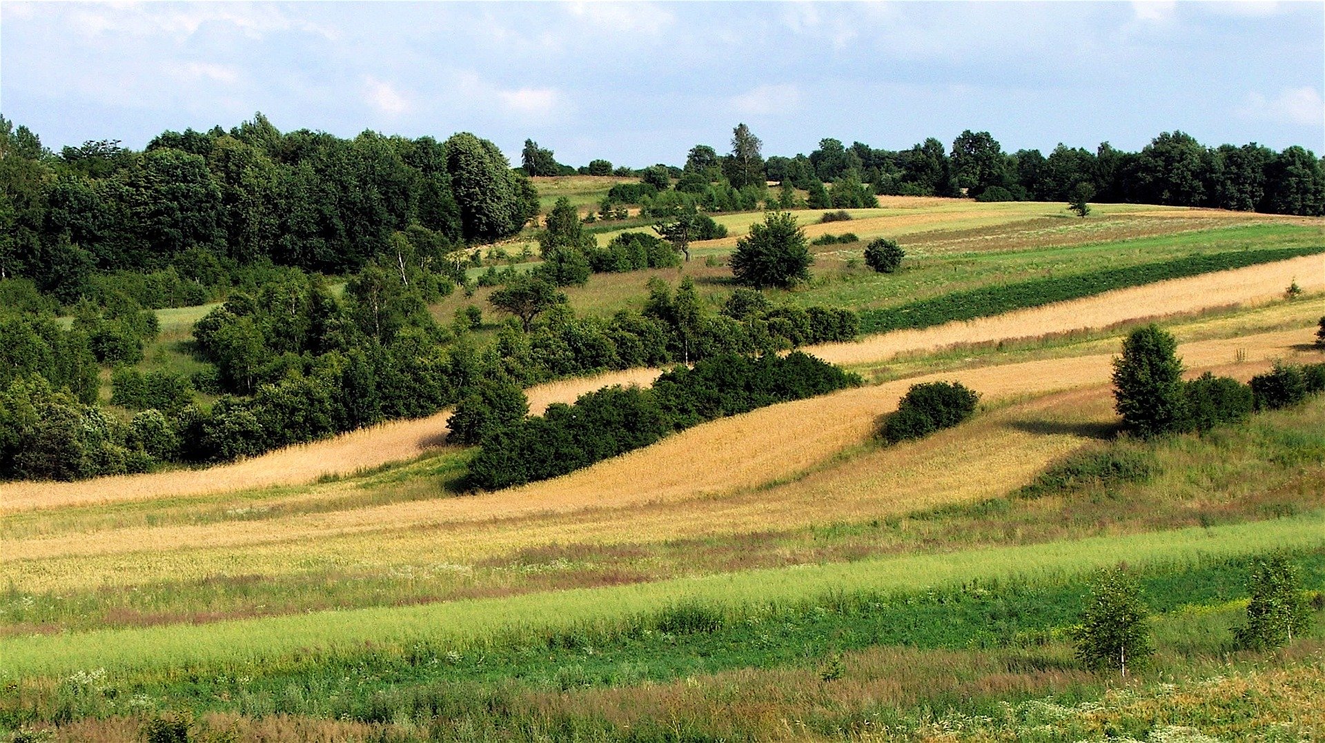 Biuro tłumaczeń Radecznica