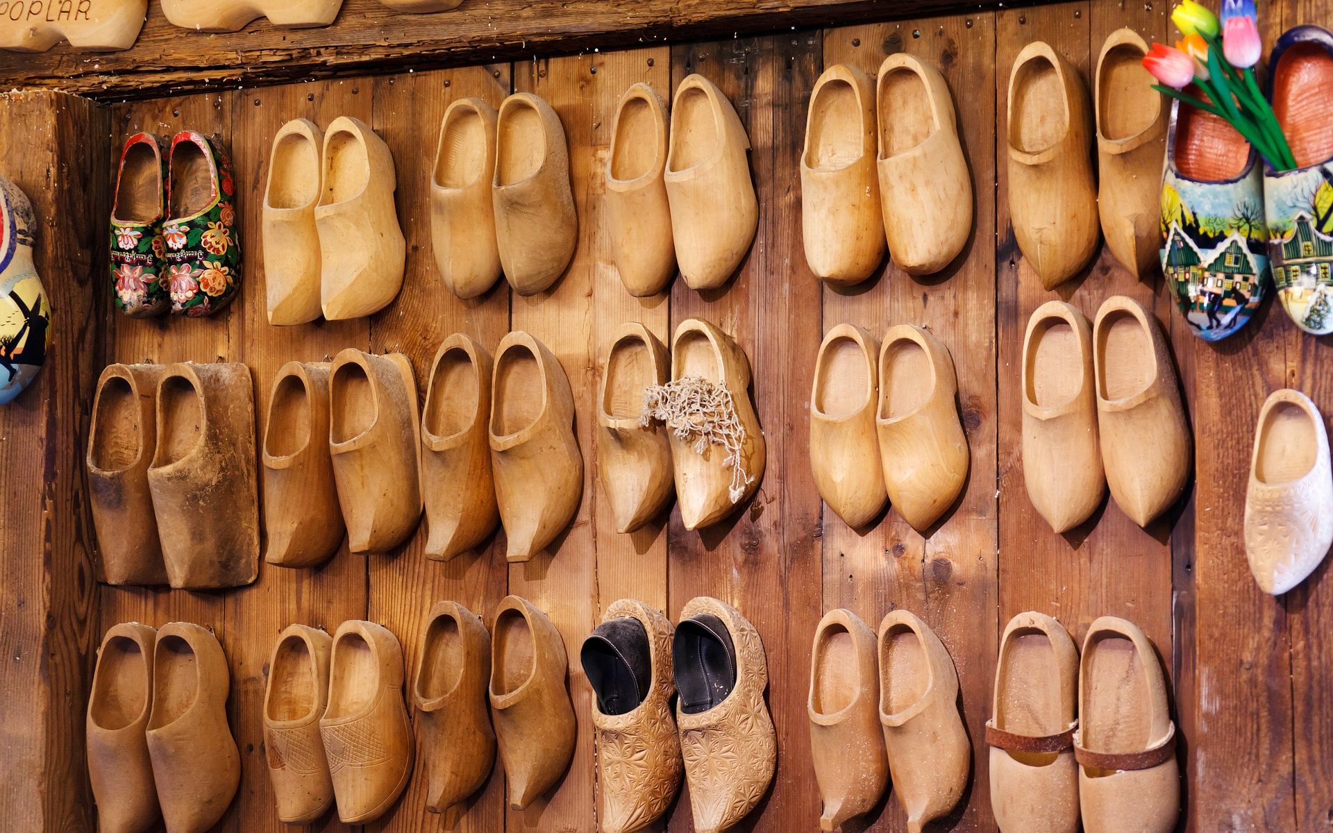 Tłumaczenia specjalistyczne polski holenderski Warszawa