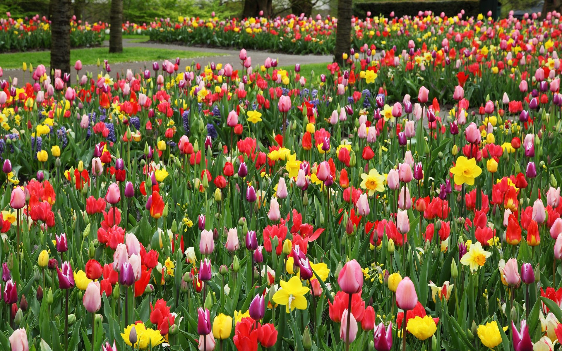 Tłumaczenia specjalistyczne polski niderlandzki Bydgoszcz