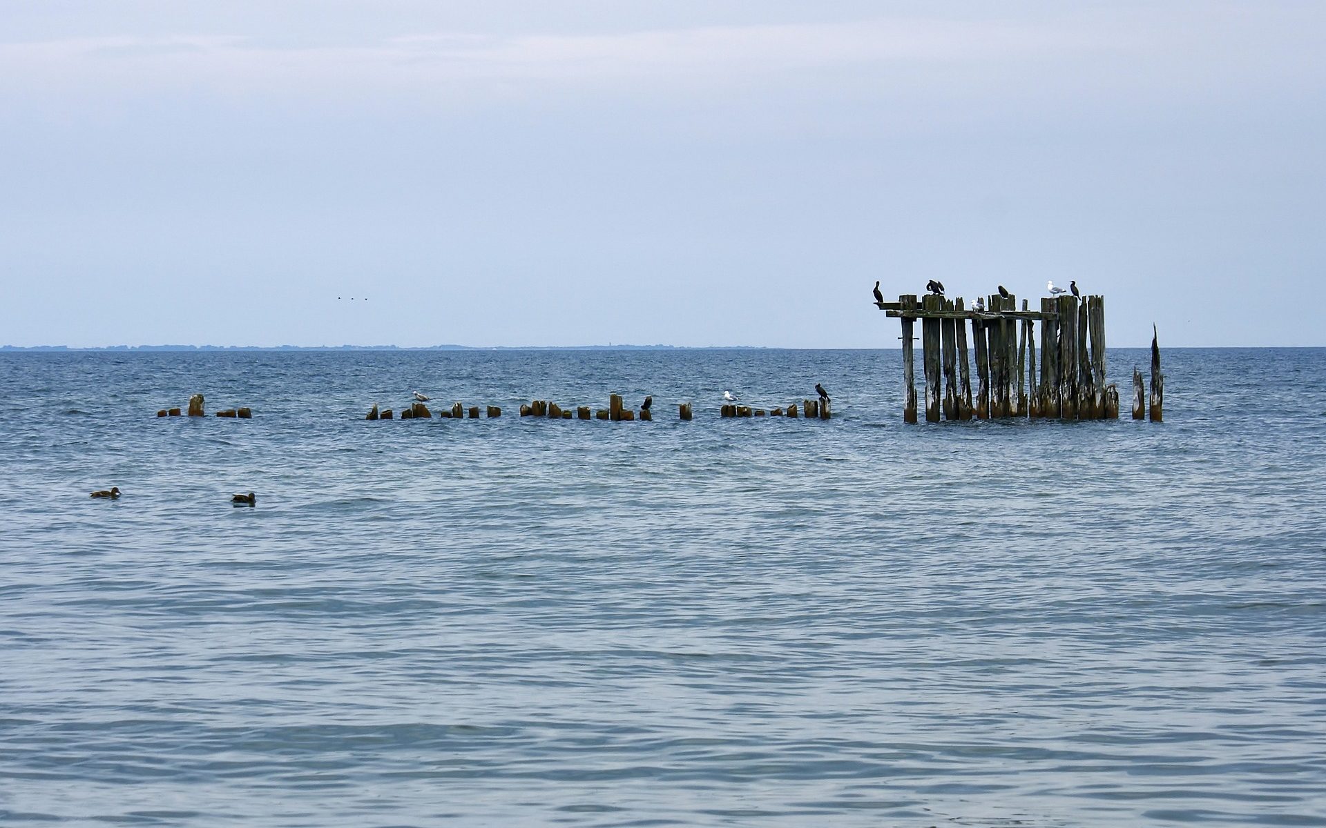 Biuro tłumaczeń Gdynia
