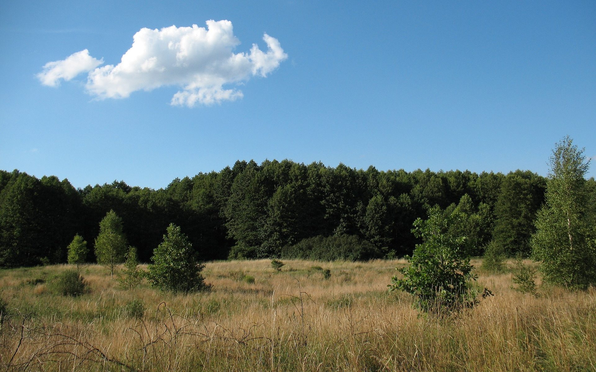 Biuro tłumaczeń Kampinos