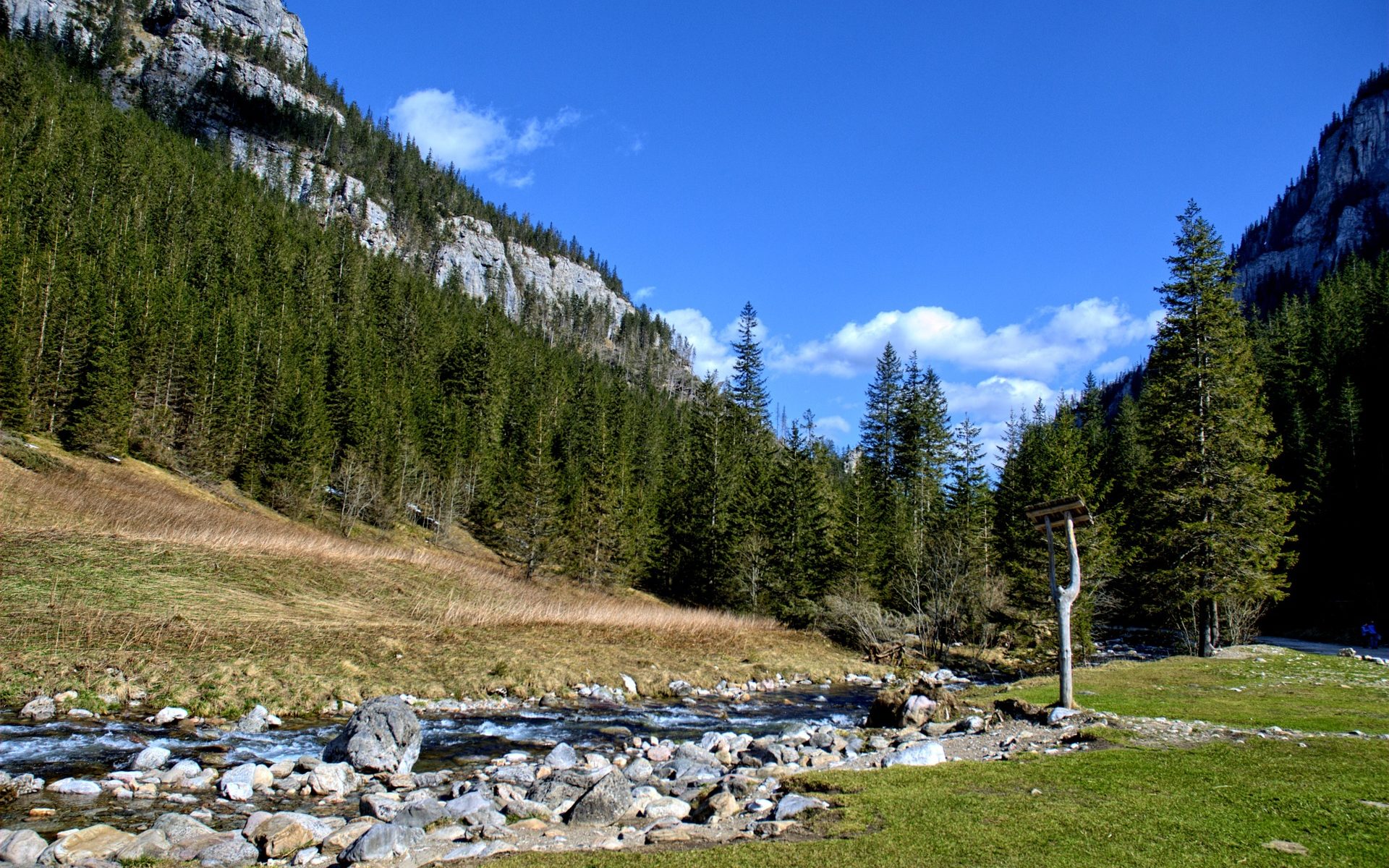 Biuro tłumaczeń Kościelisko