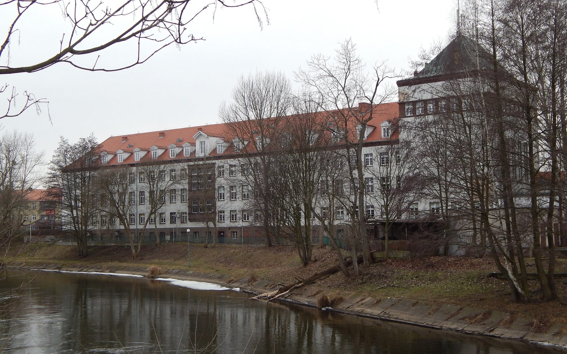 Biuro tłumaczeń Piła