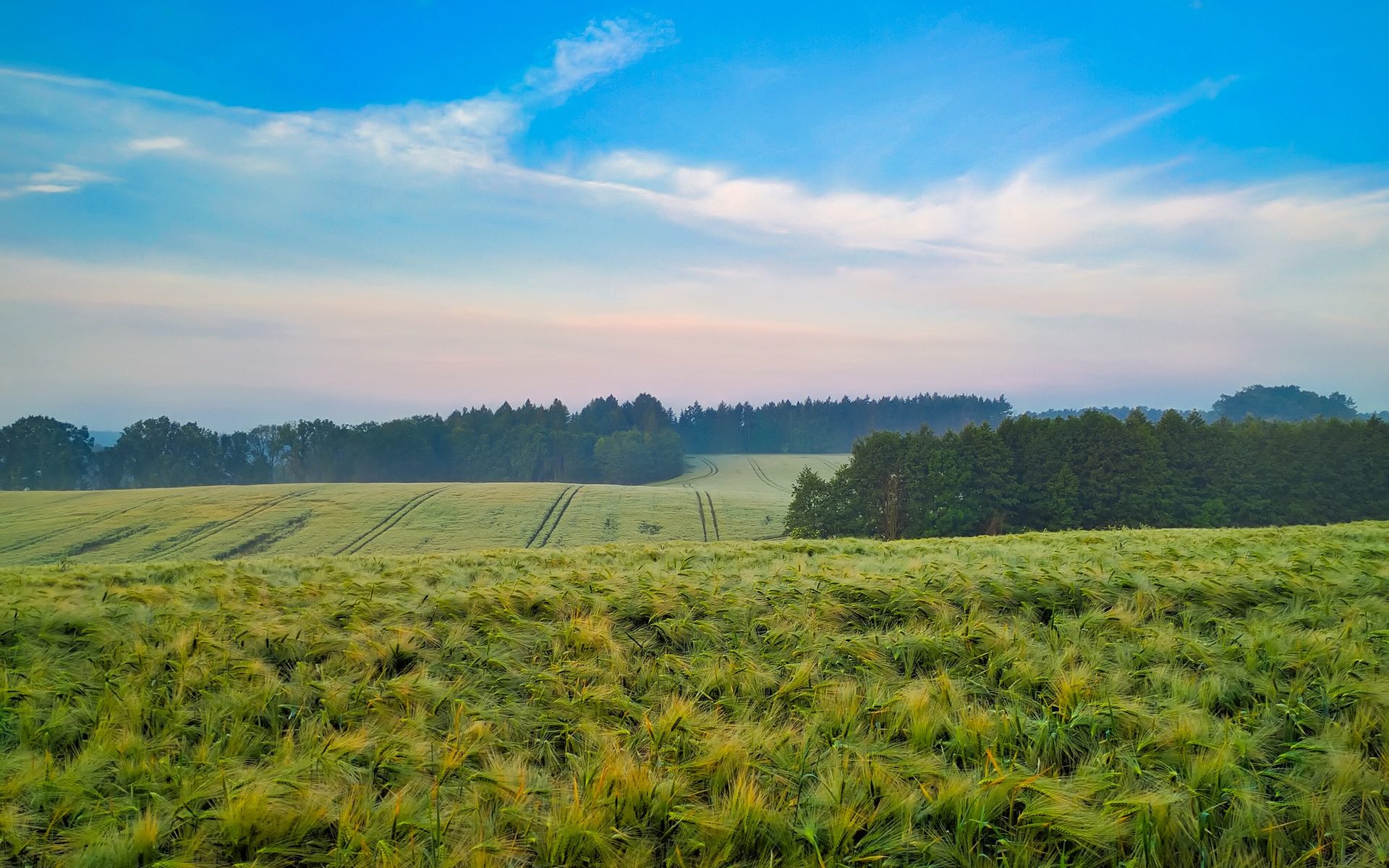 Biuro tłumaczeń Będków