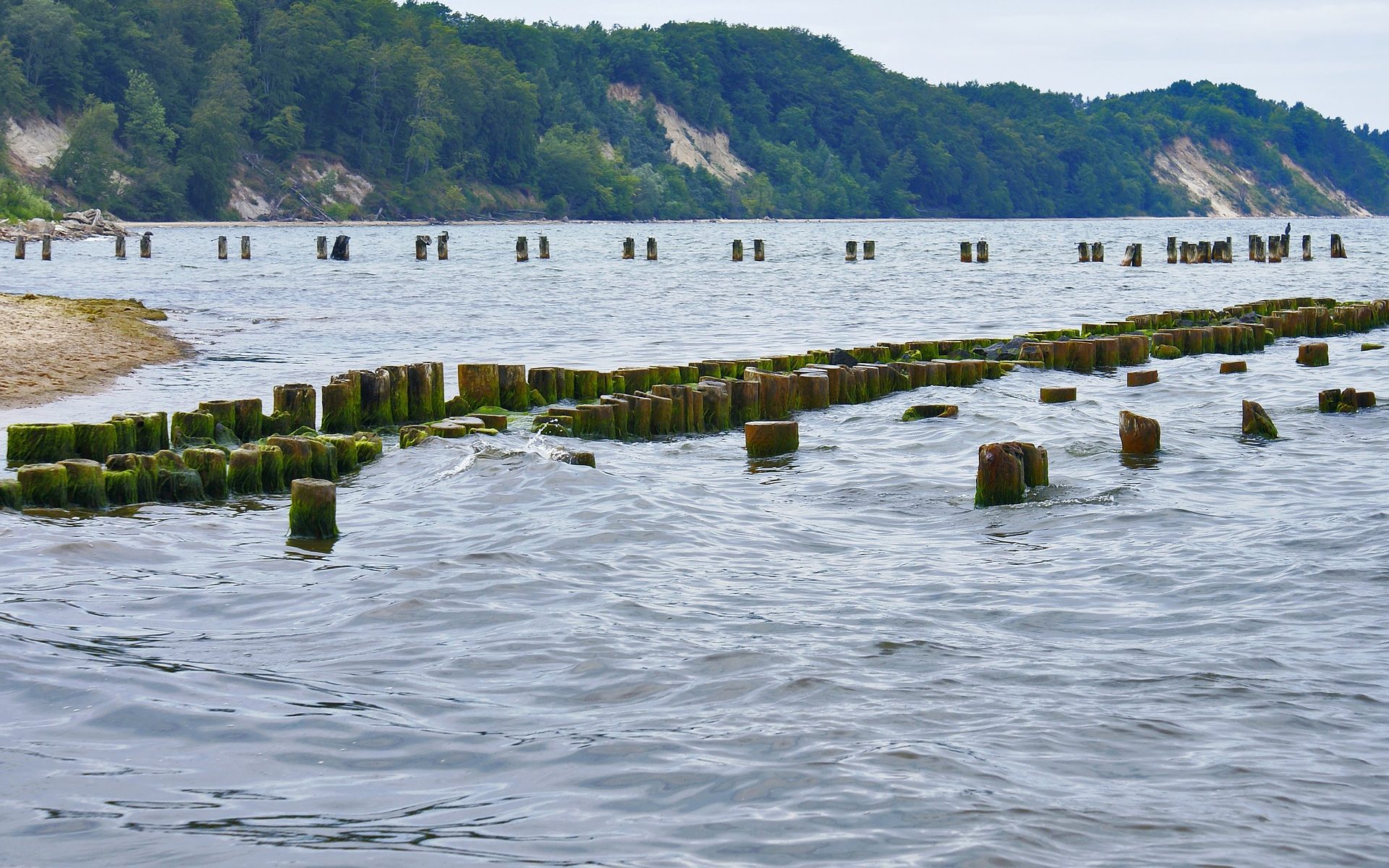 Biuro tłumaczeń Gdynia