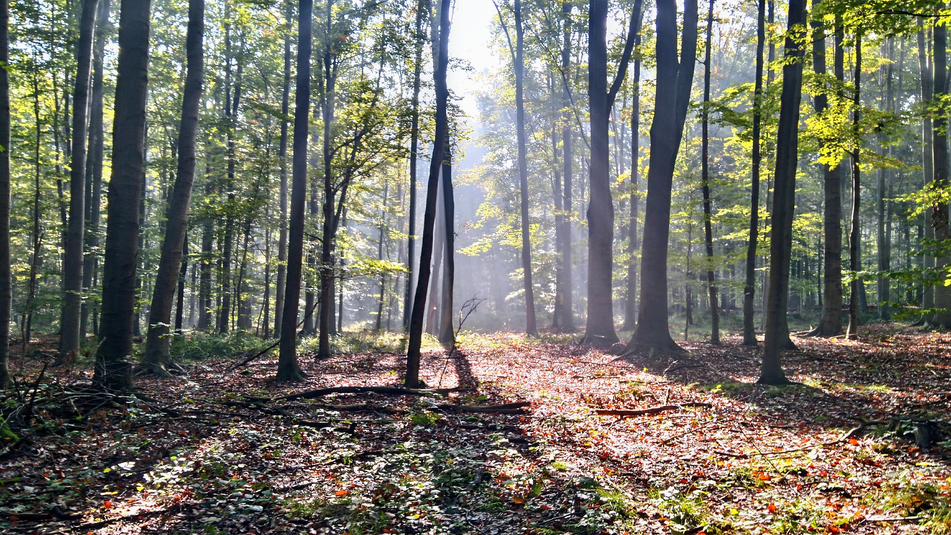 Biuro tłumaczeń Warszawa Białołęka