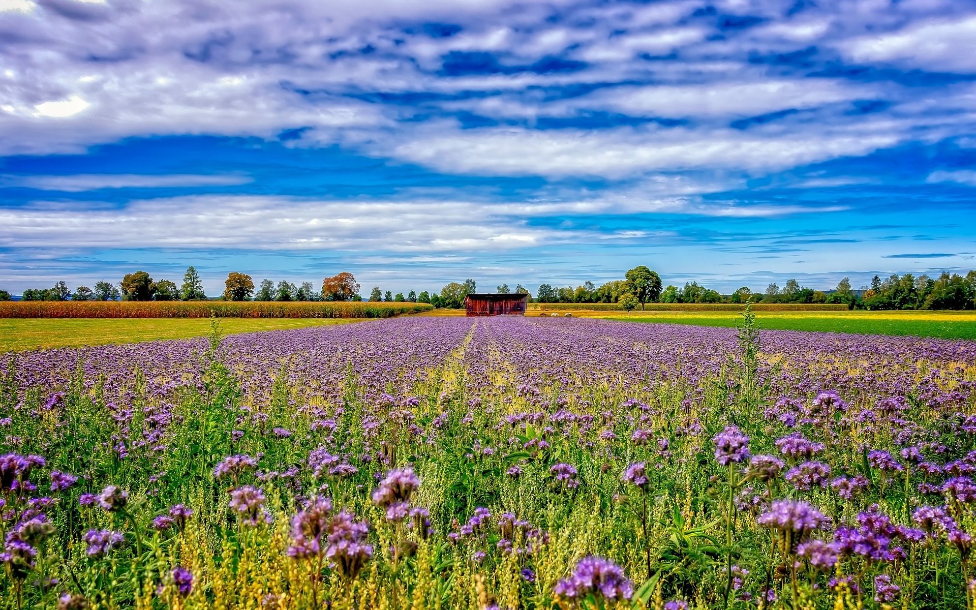 Biuro tłumaczeń Wartkowice
