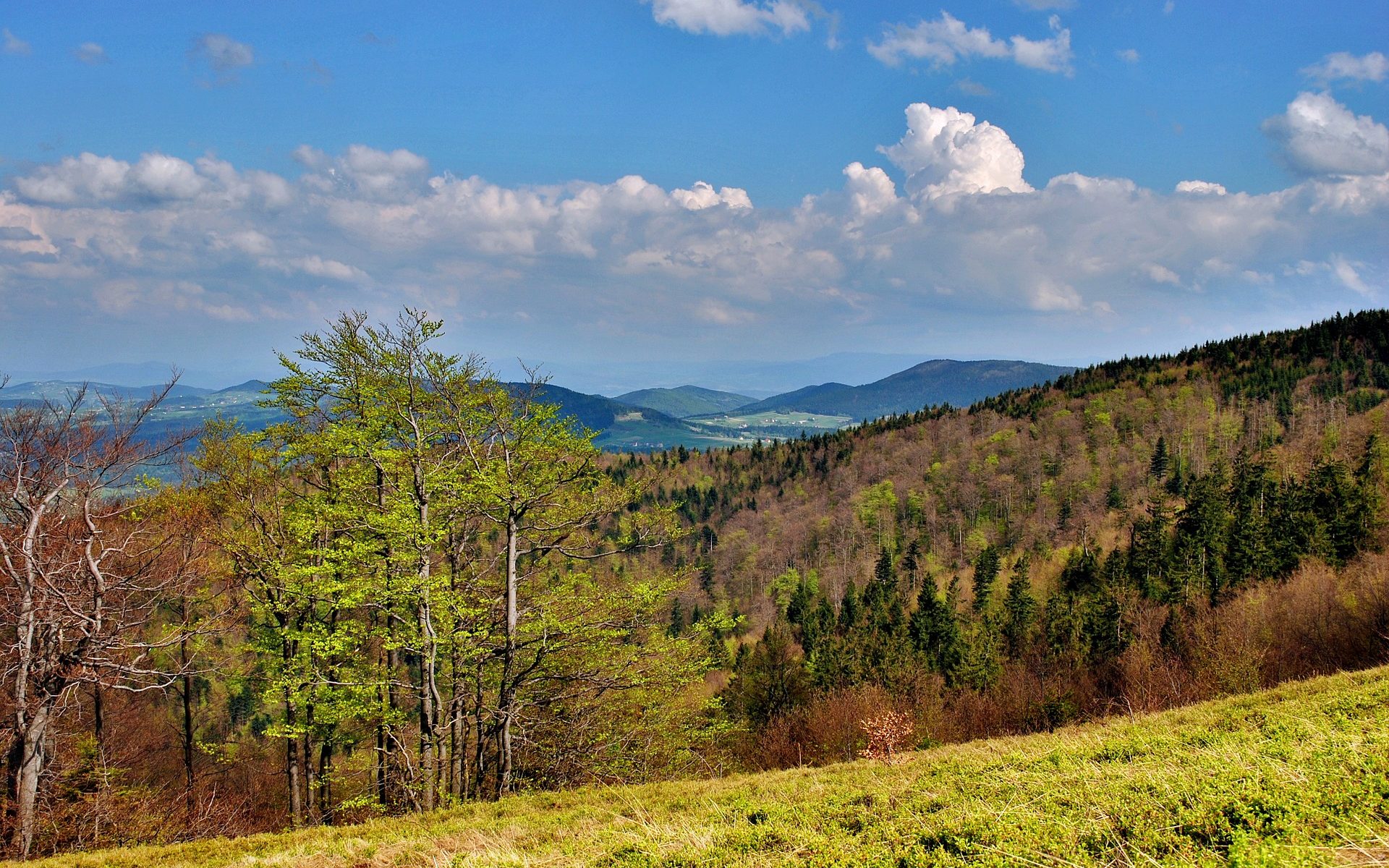 Biuro tłumaczeń Dobra