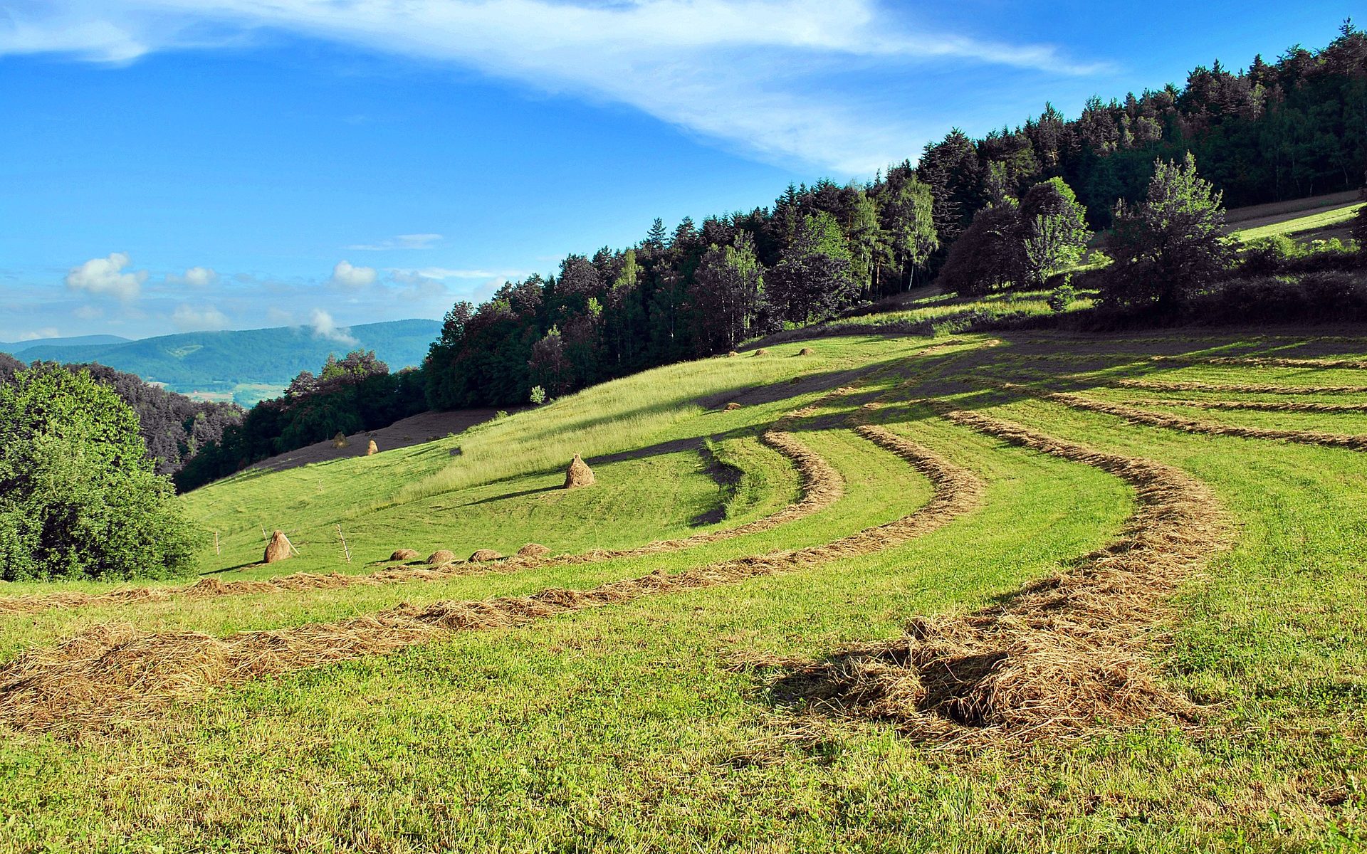Biuro tłumaczeń Jodłownik