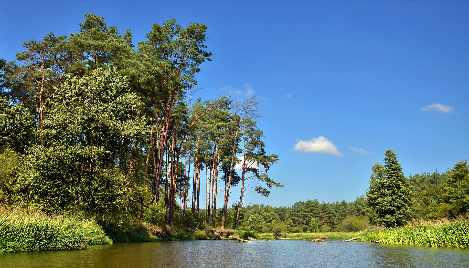 Biuro tłumaczeń Ręczno