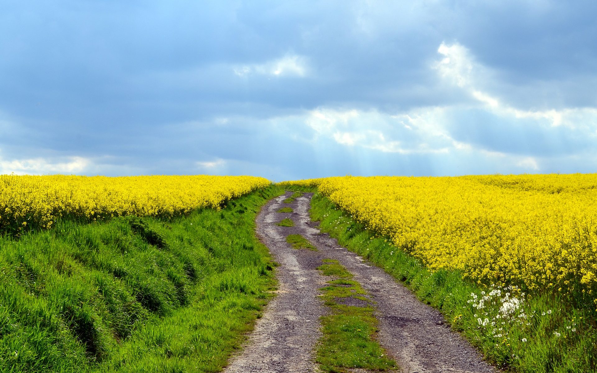 Biuro tłumaczeń Żurawica