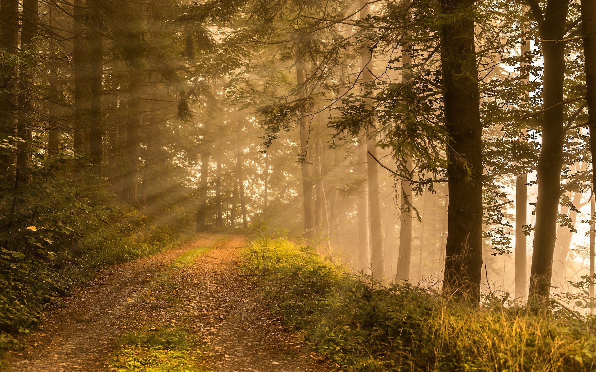 Biuro tłumaczeń Bestwina