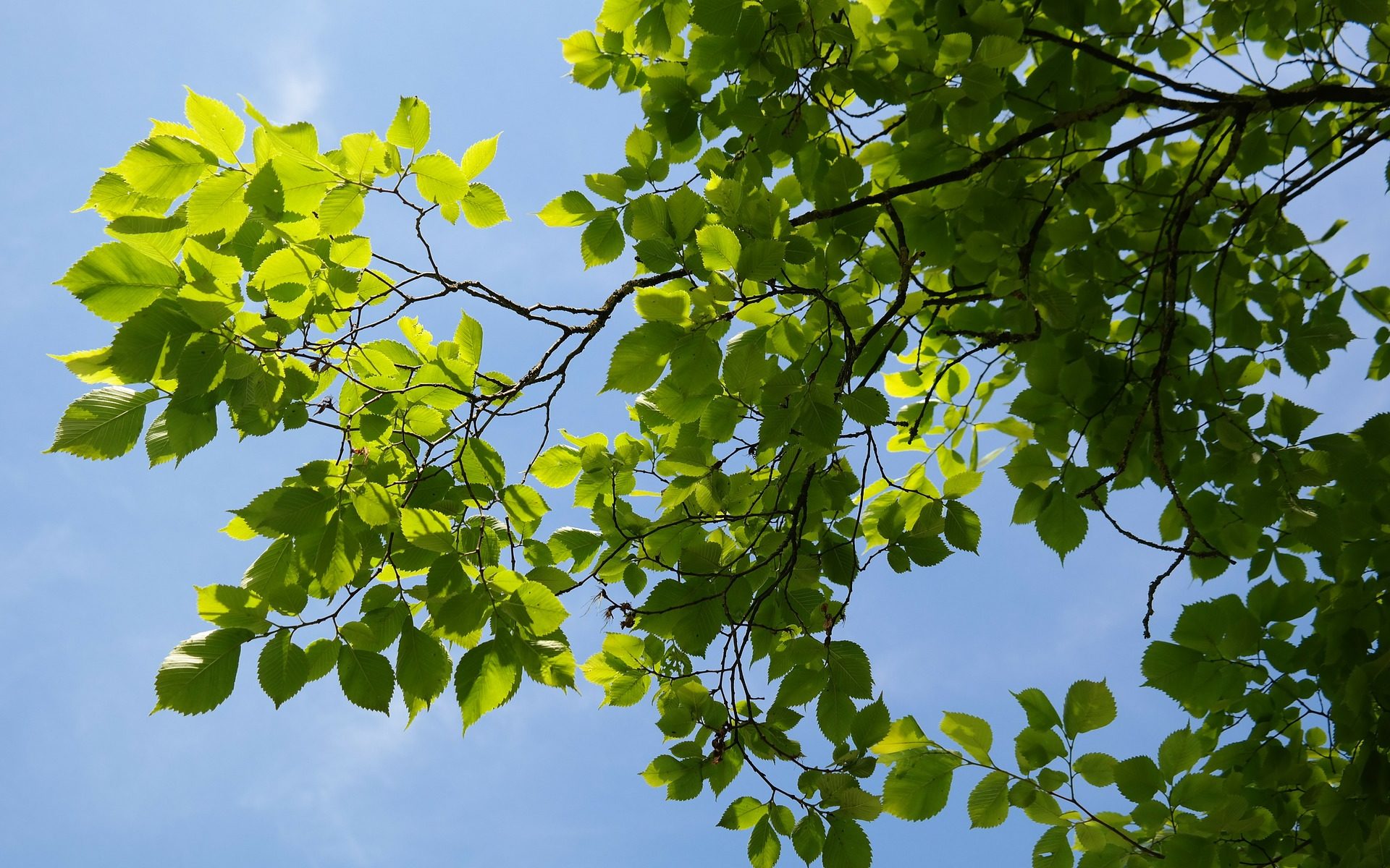 Biuro tłumaczeń Brzeszcze