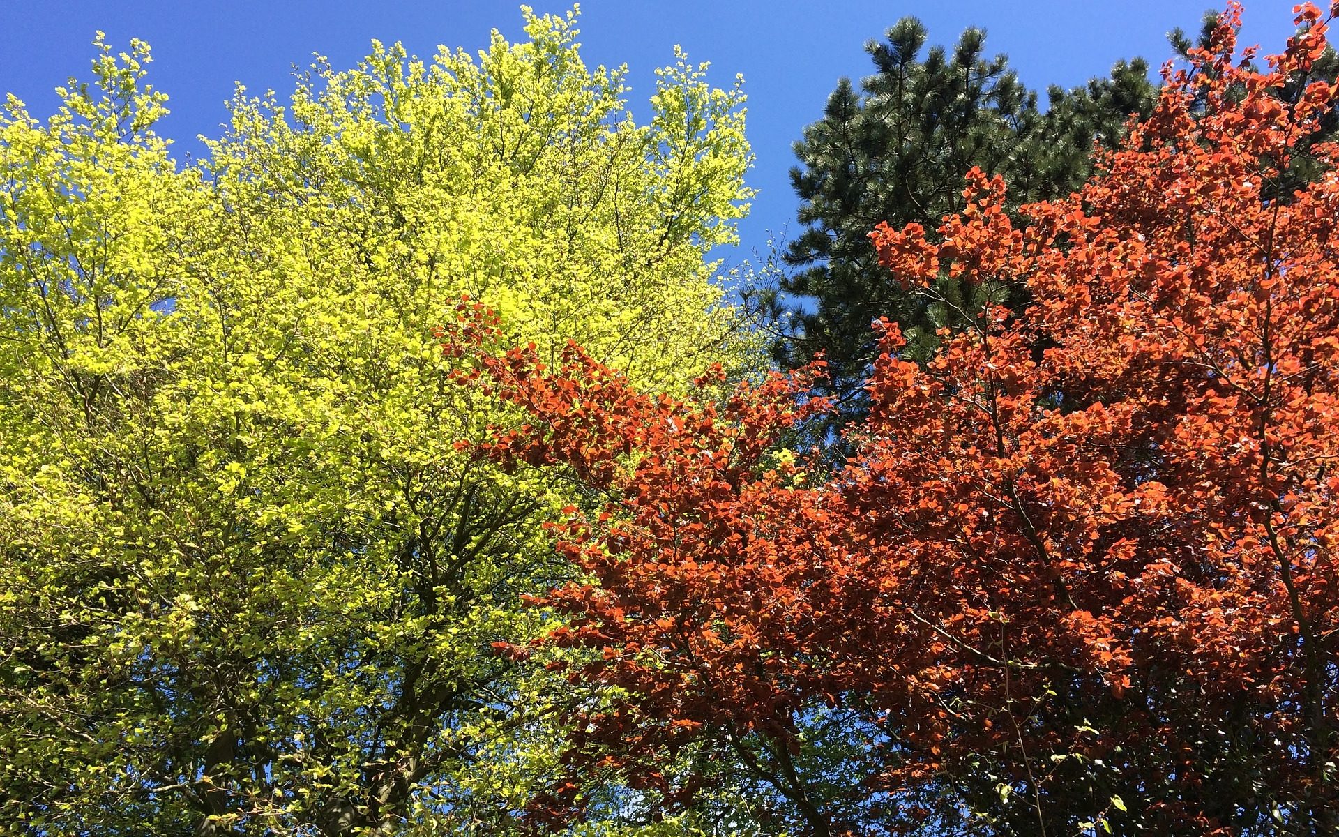 Biuro tłumaczeń Bukowsko