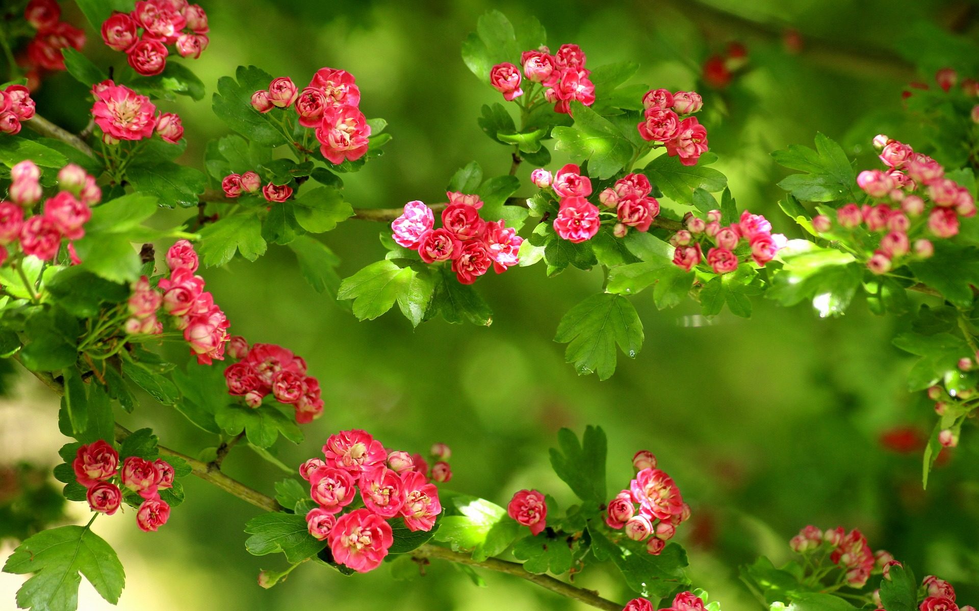 Biuro tłumaczeń Głogów