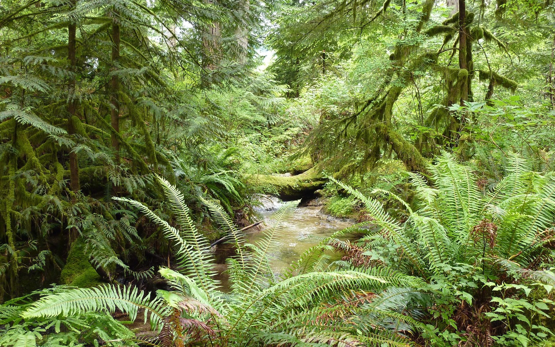 Biuro tłumaczeń Paprotnia