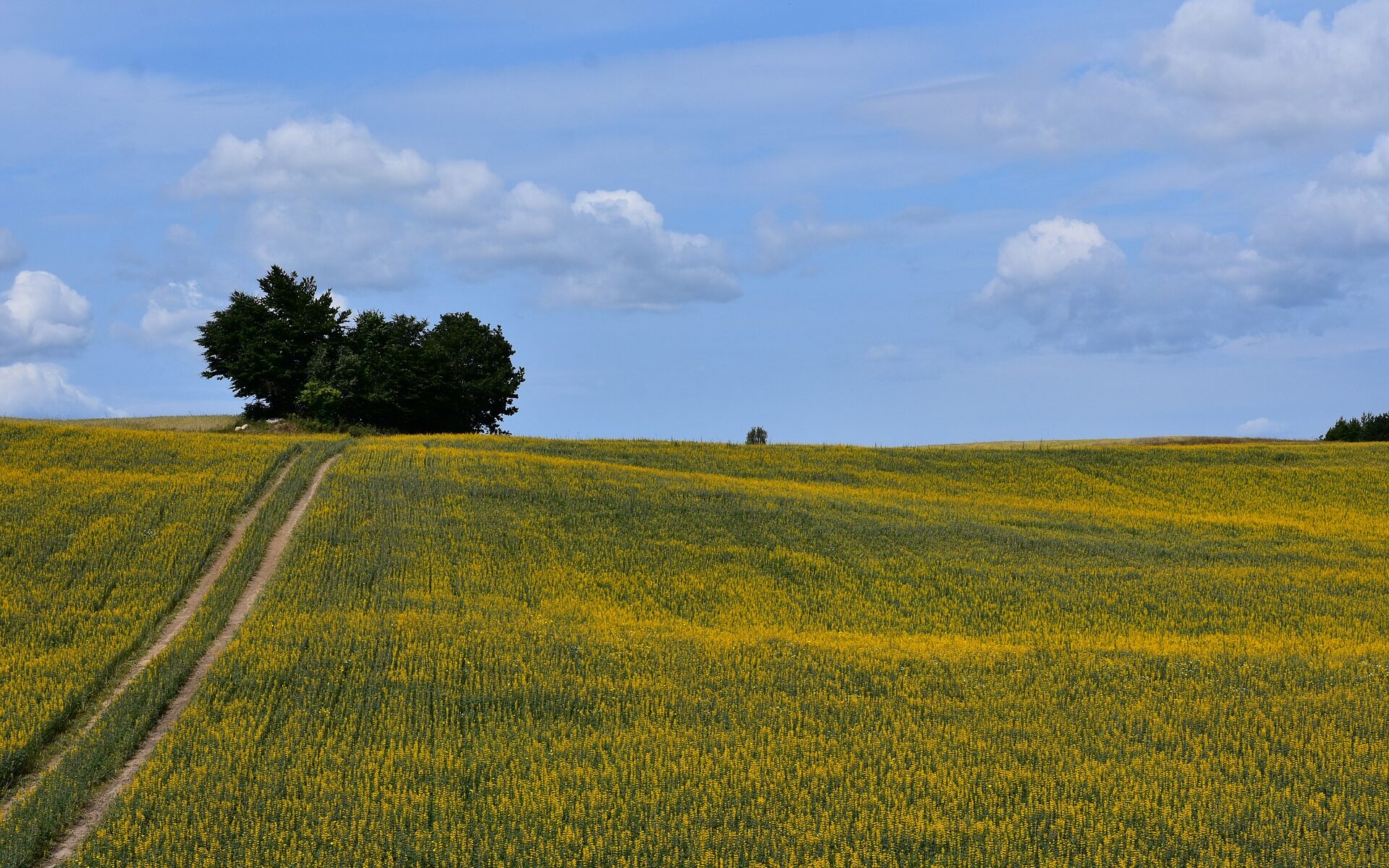 Biuro tłumaczeń Żukowo