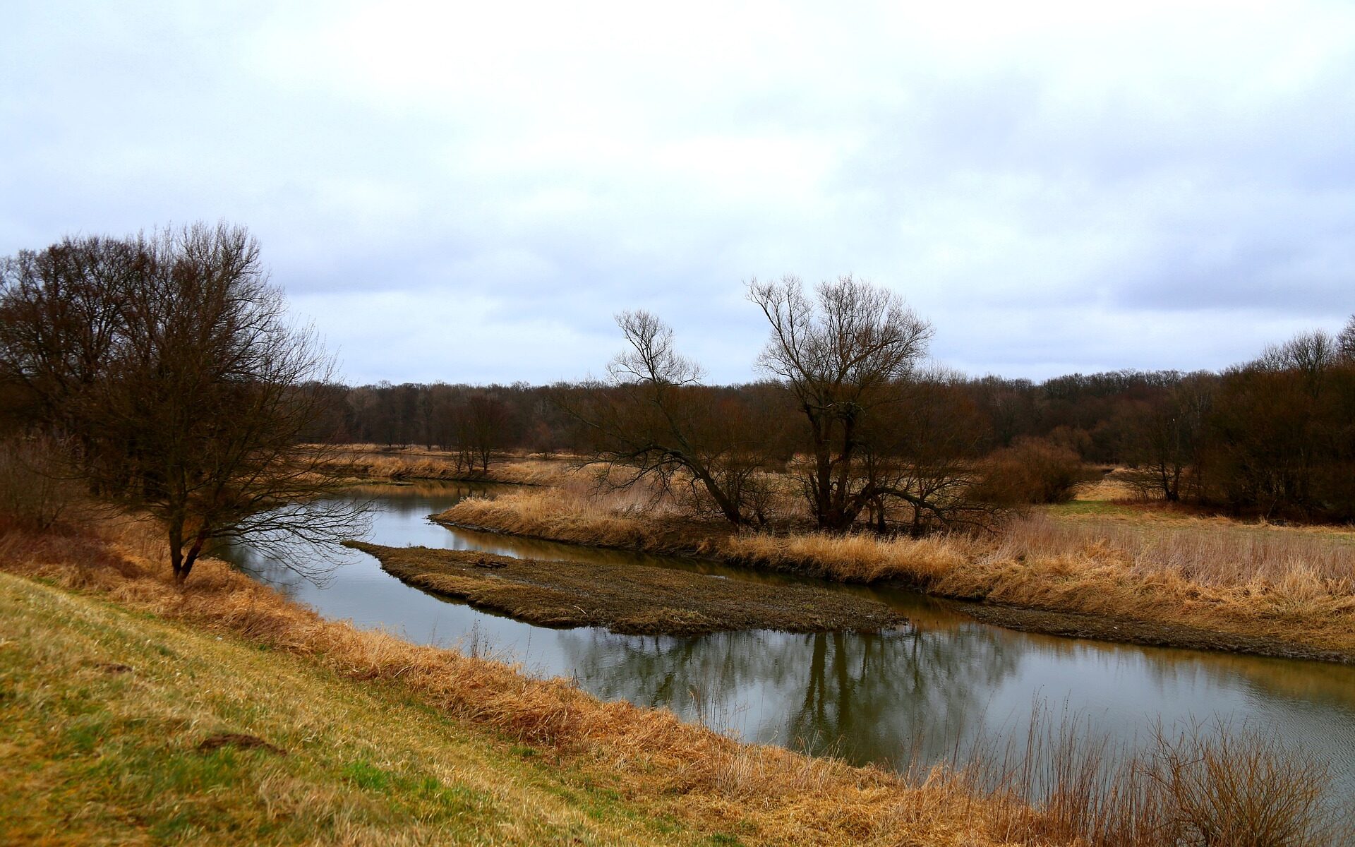 Biuro tłumaczeń Ścinawa