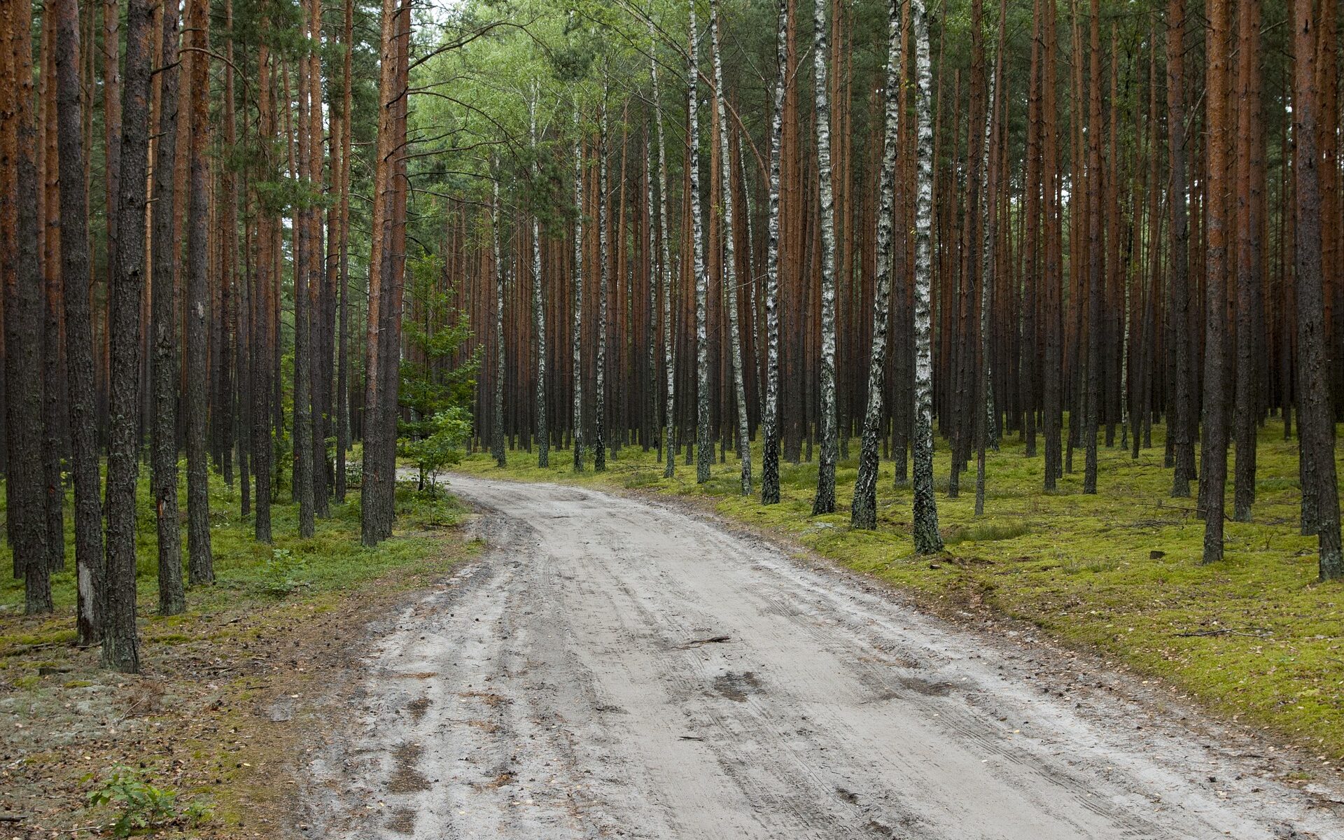 Biuro tłumaczeń Lipka