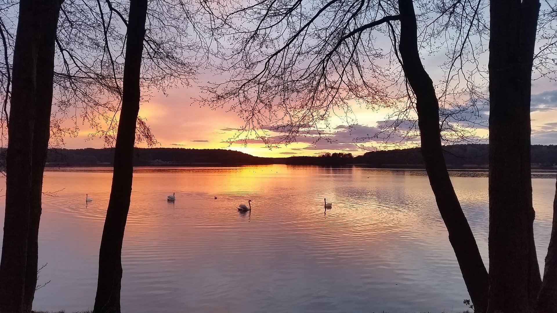 Biuro tłumaczeń Bytów