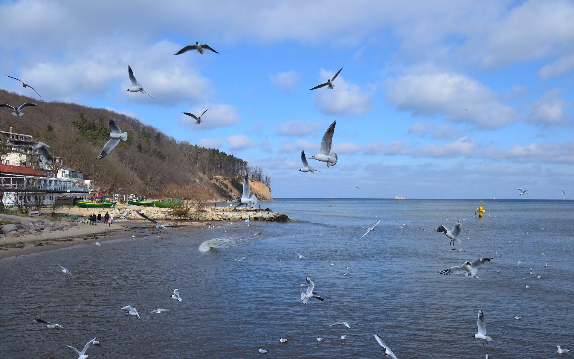 Biuro tłumaczeń Gdynia