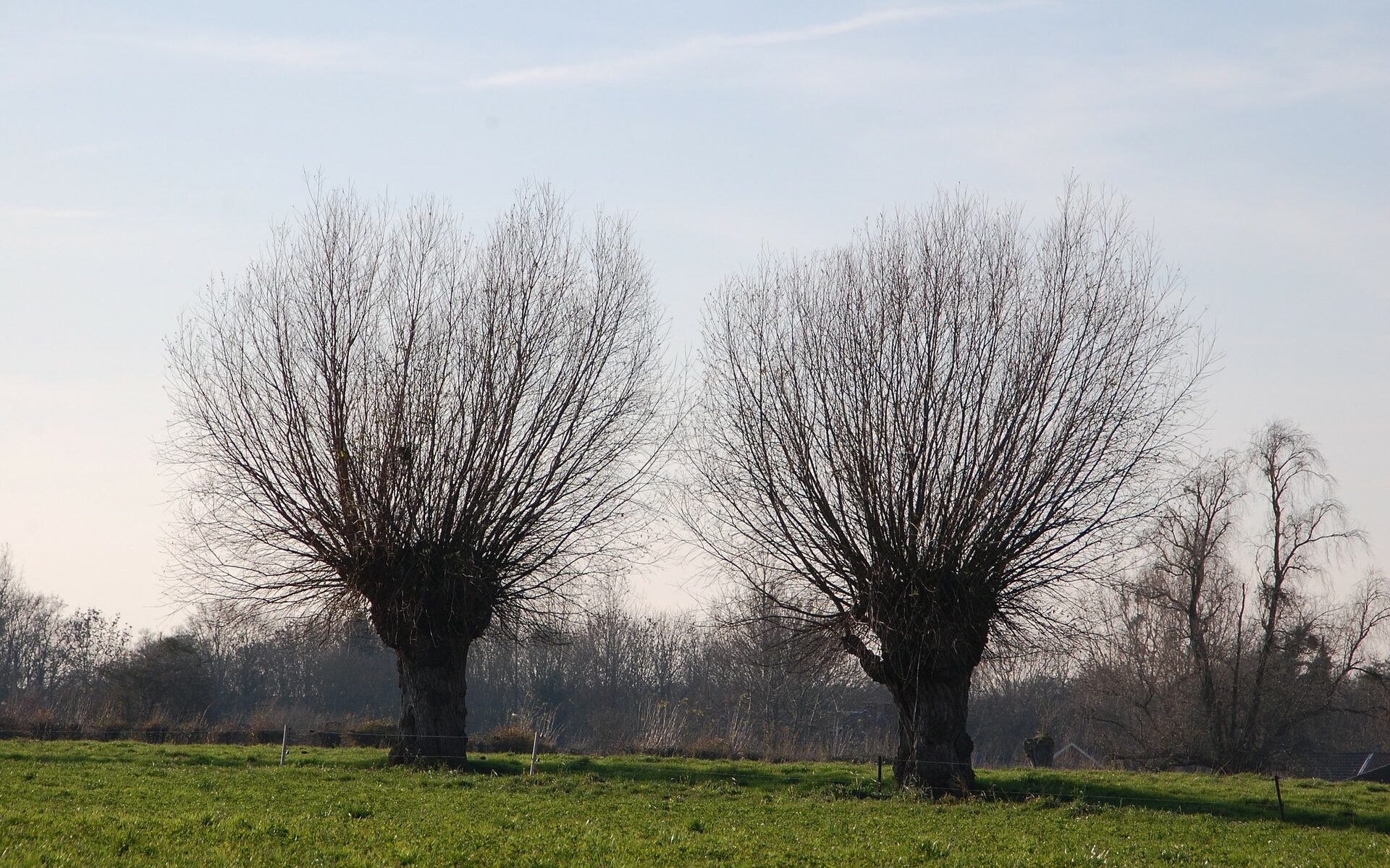 Biuro tłumaczeń Brochów