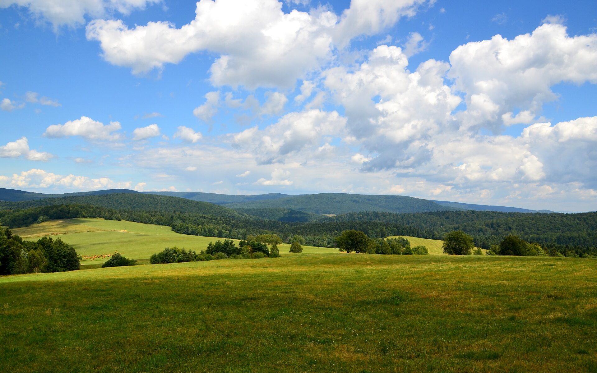 Biuro tłumaczeń Gorlice