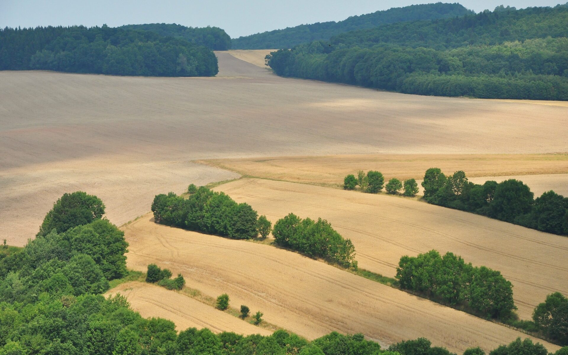 Biuro tłumaczeń Dobromierz