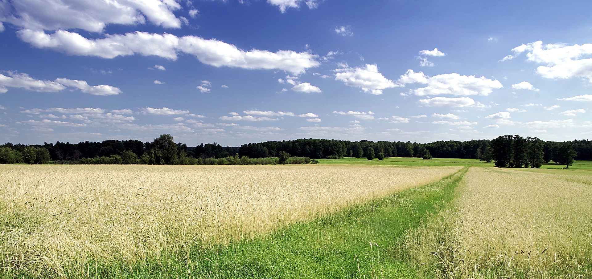 Biuro tłumaczeń Jedwabne