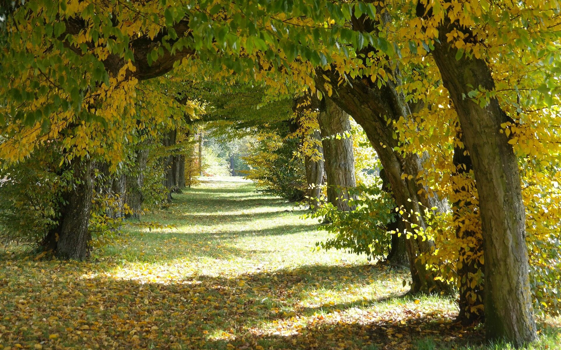 Biuro tłumaczeń Grabów nad Pilicą