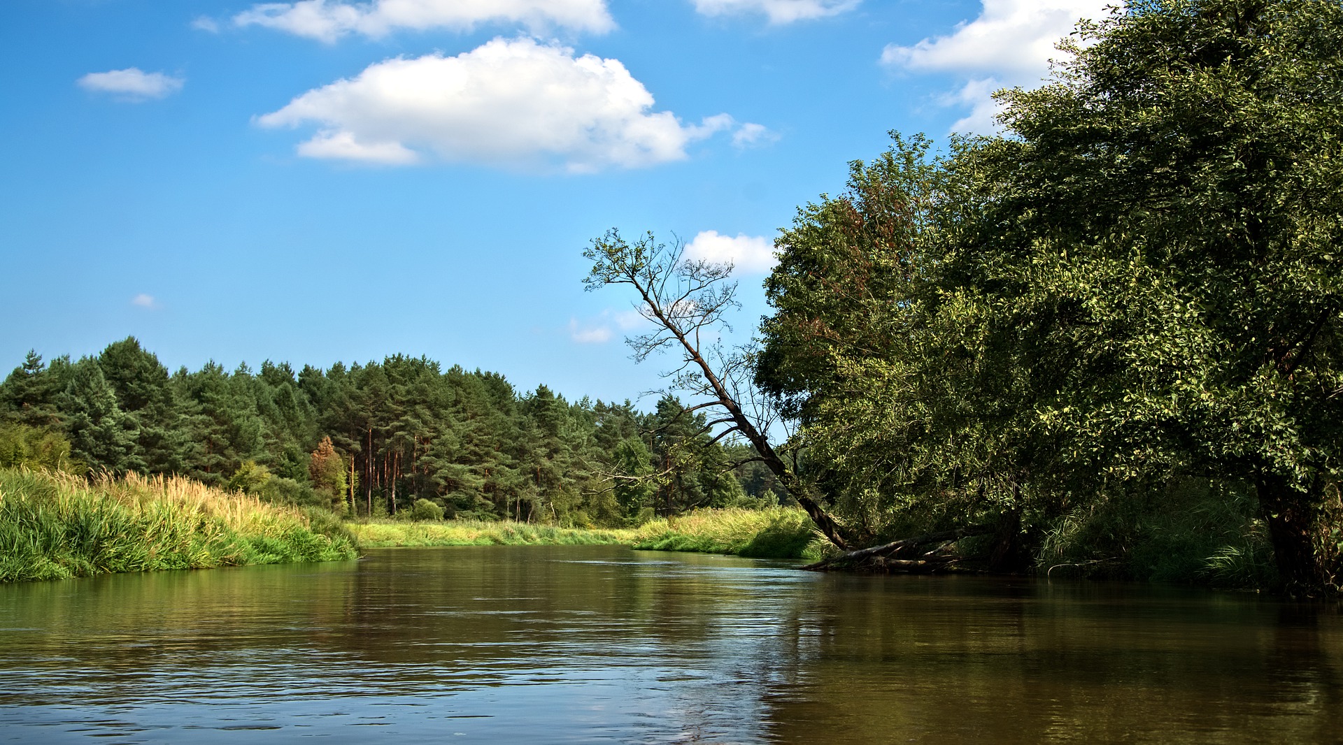 Biuro tłumaczeń Nowe Miasto nad Pilicą