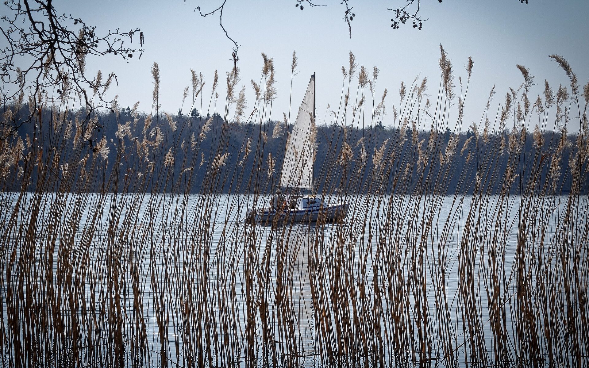 Biuro tłumaczeń Szczecinek