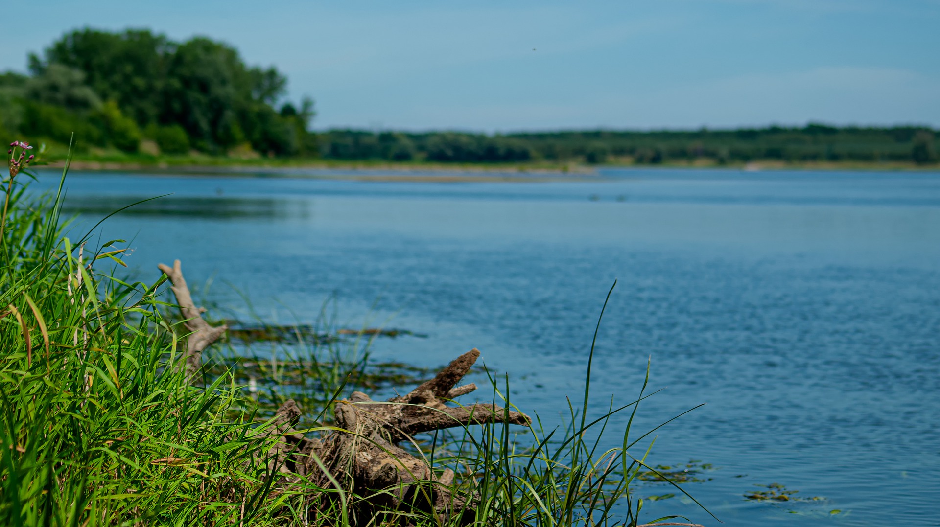 Biuro tłumaczeń Tarnobrzeg