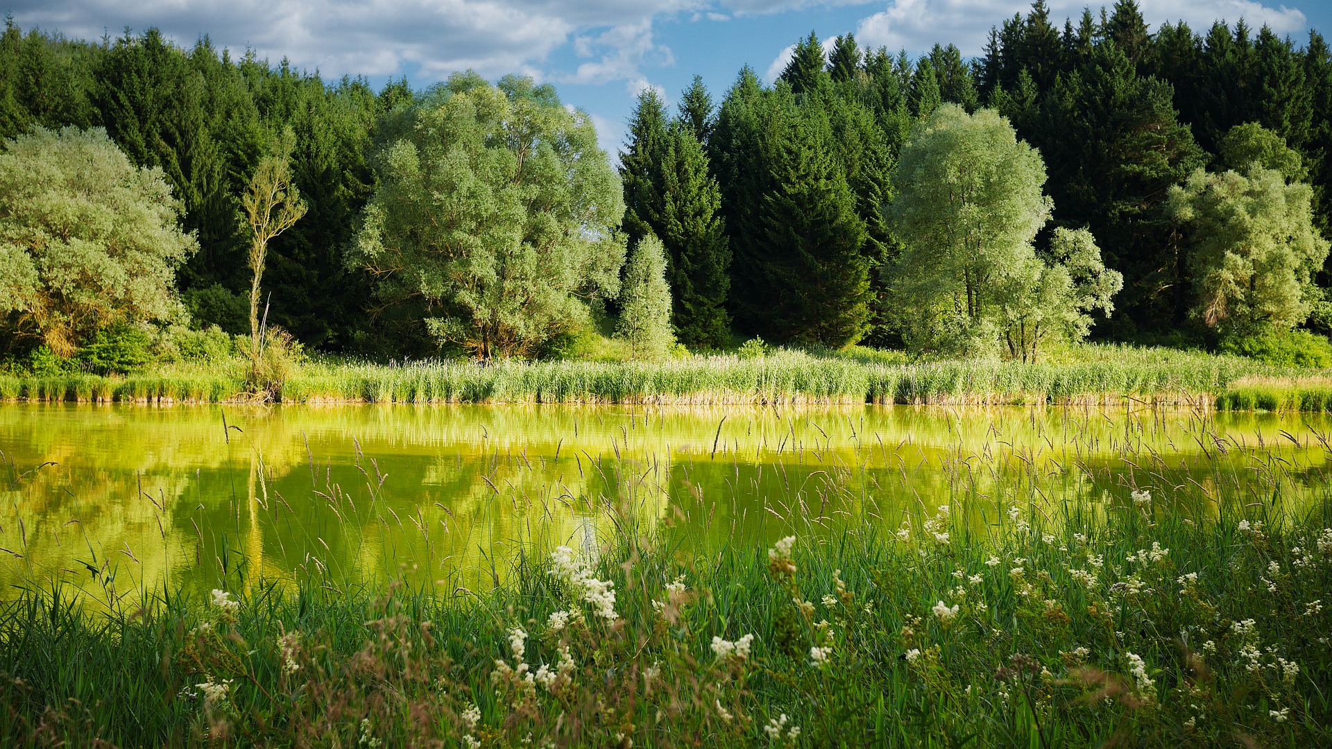 Biuro tłumaczeń Wierzchosławice