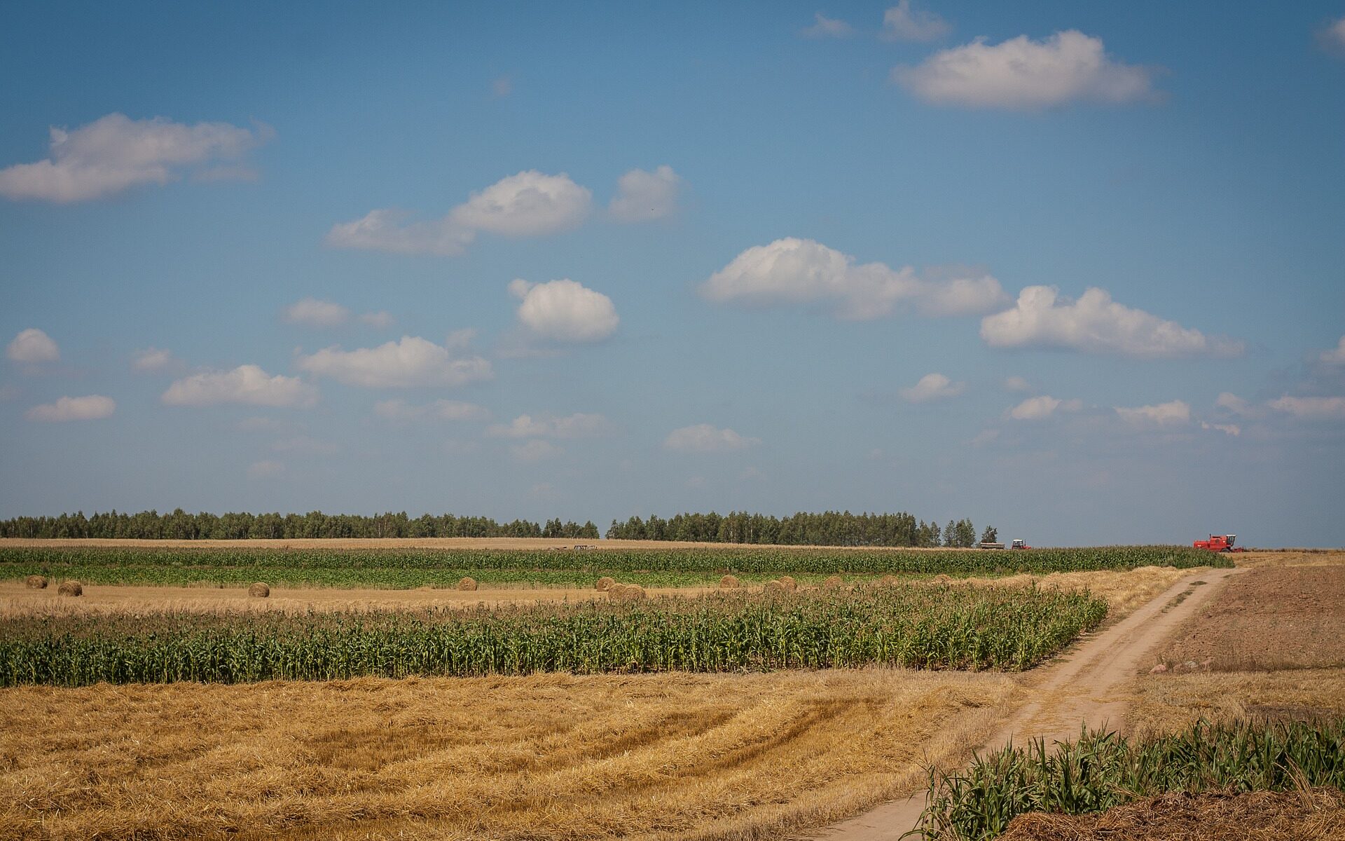 Biuro tłumaczeń Żuromin