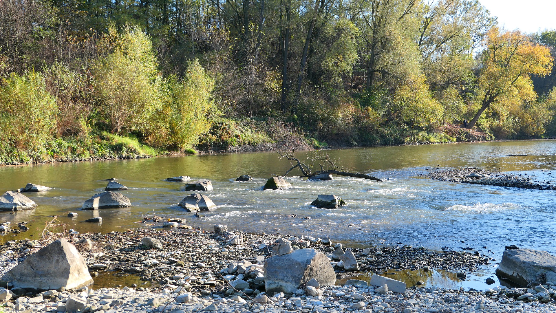 Biuro tłumaczeń Żyraków