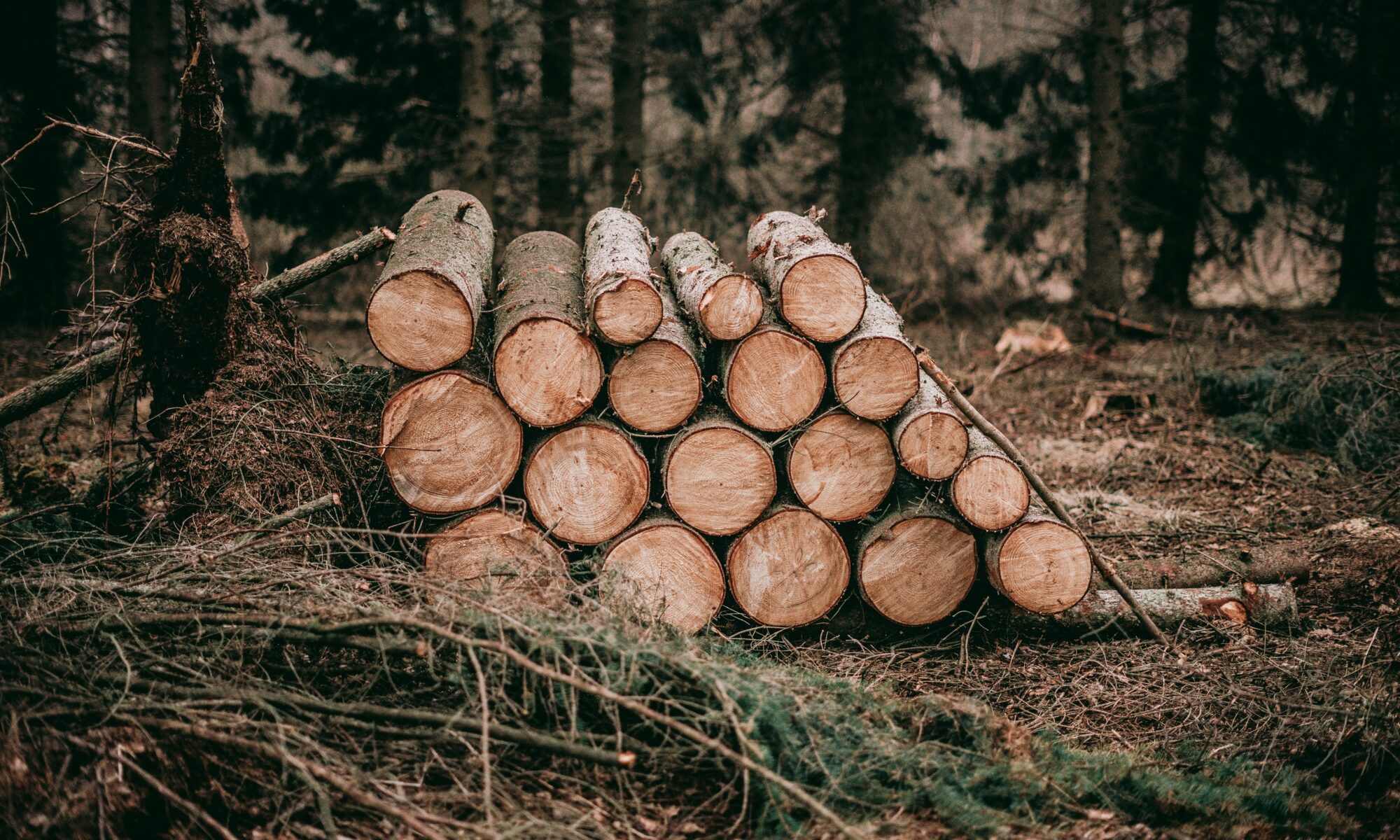 Biuro tłumaczeń Działdowo