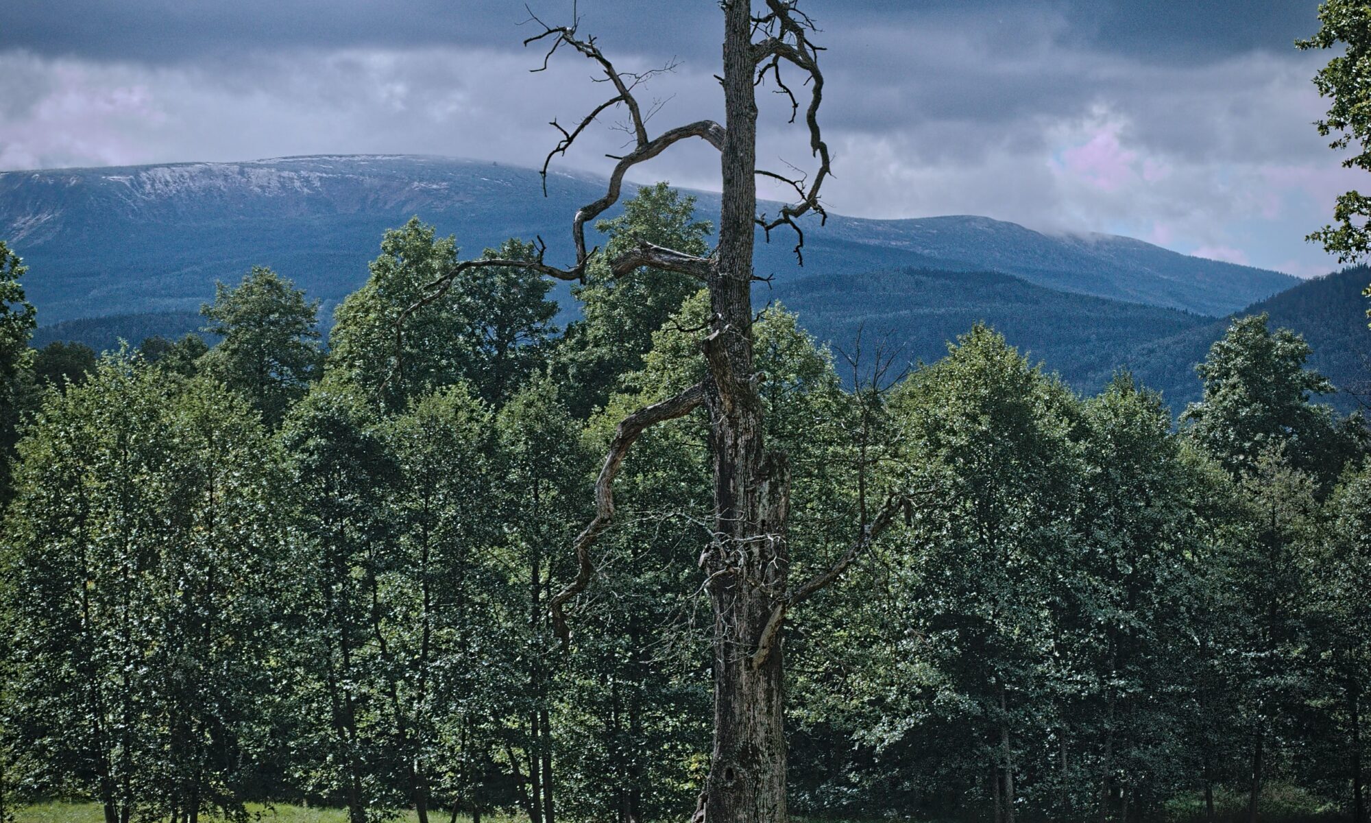 Biuro tłumaczeń Mysłakowice