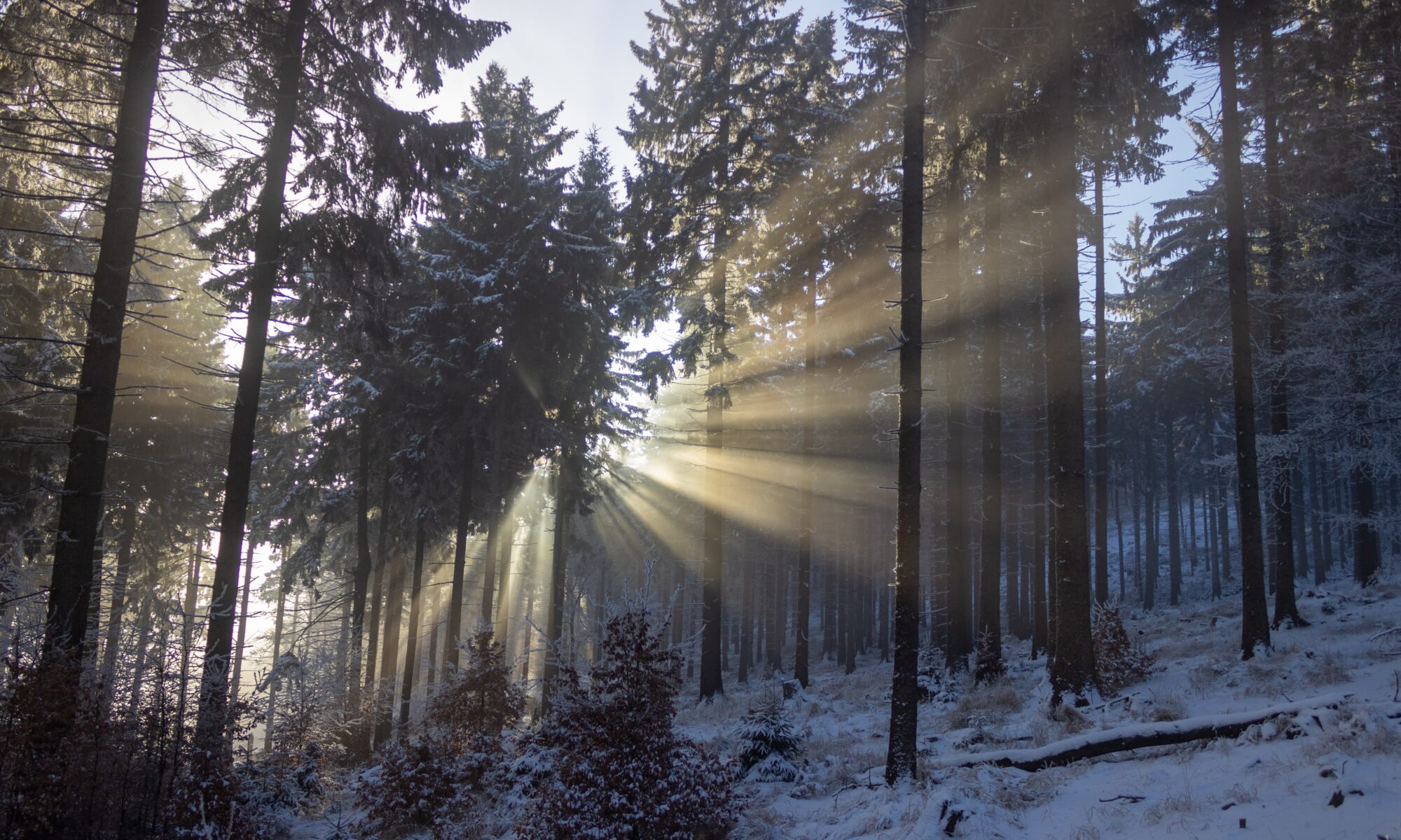 Biuro tłumaczeń Nowa Ruda