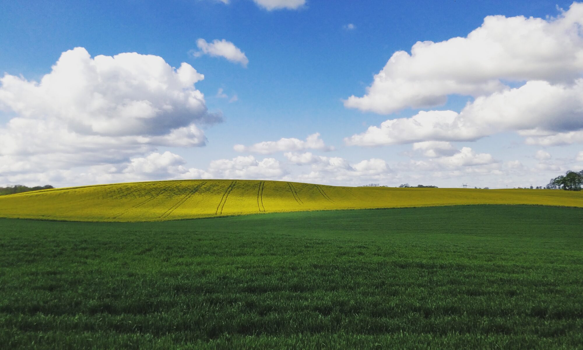 Biuro tłumaczeń Sztum