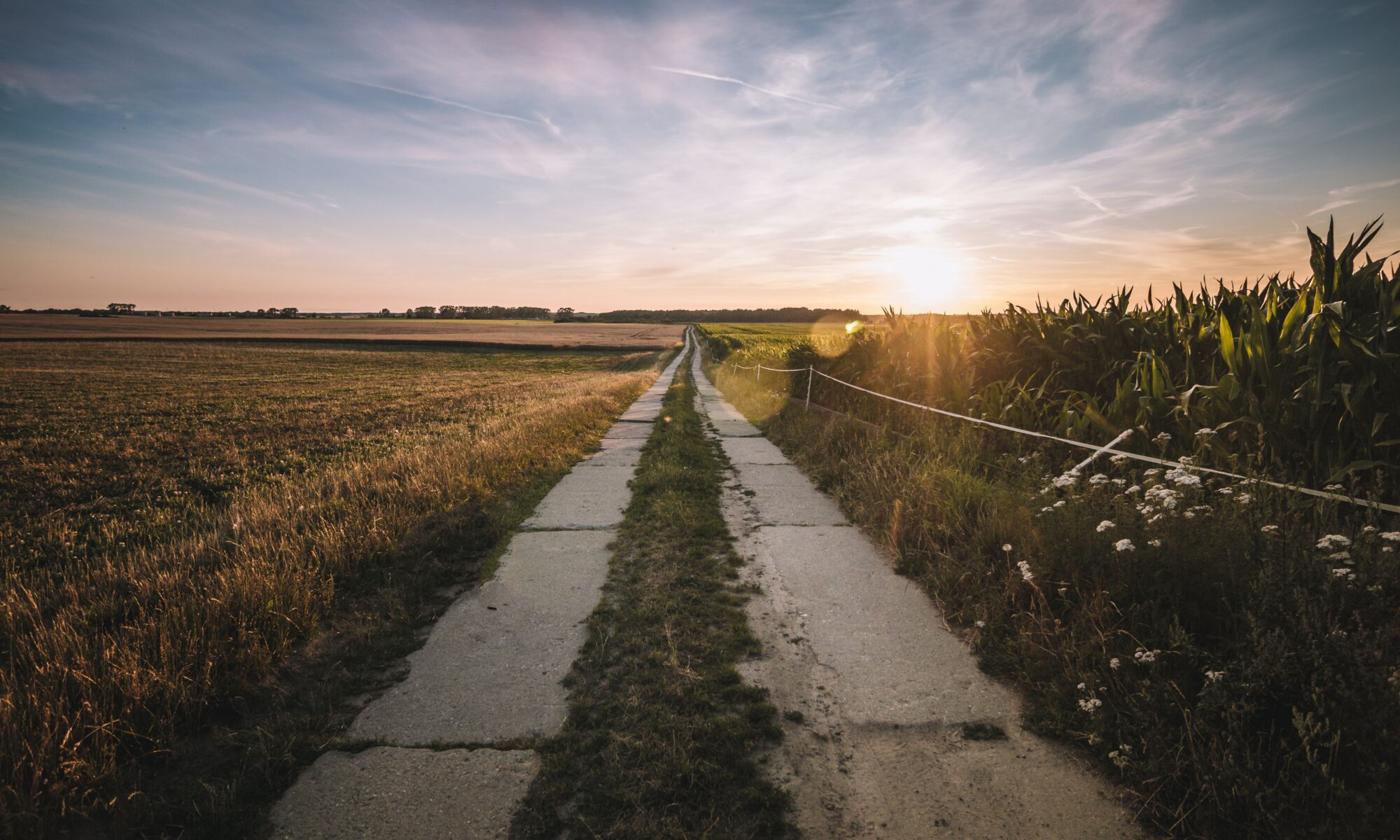 Biuro tłumaczeń Trzebiatów