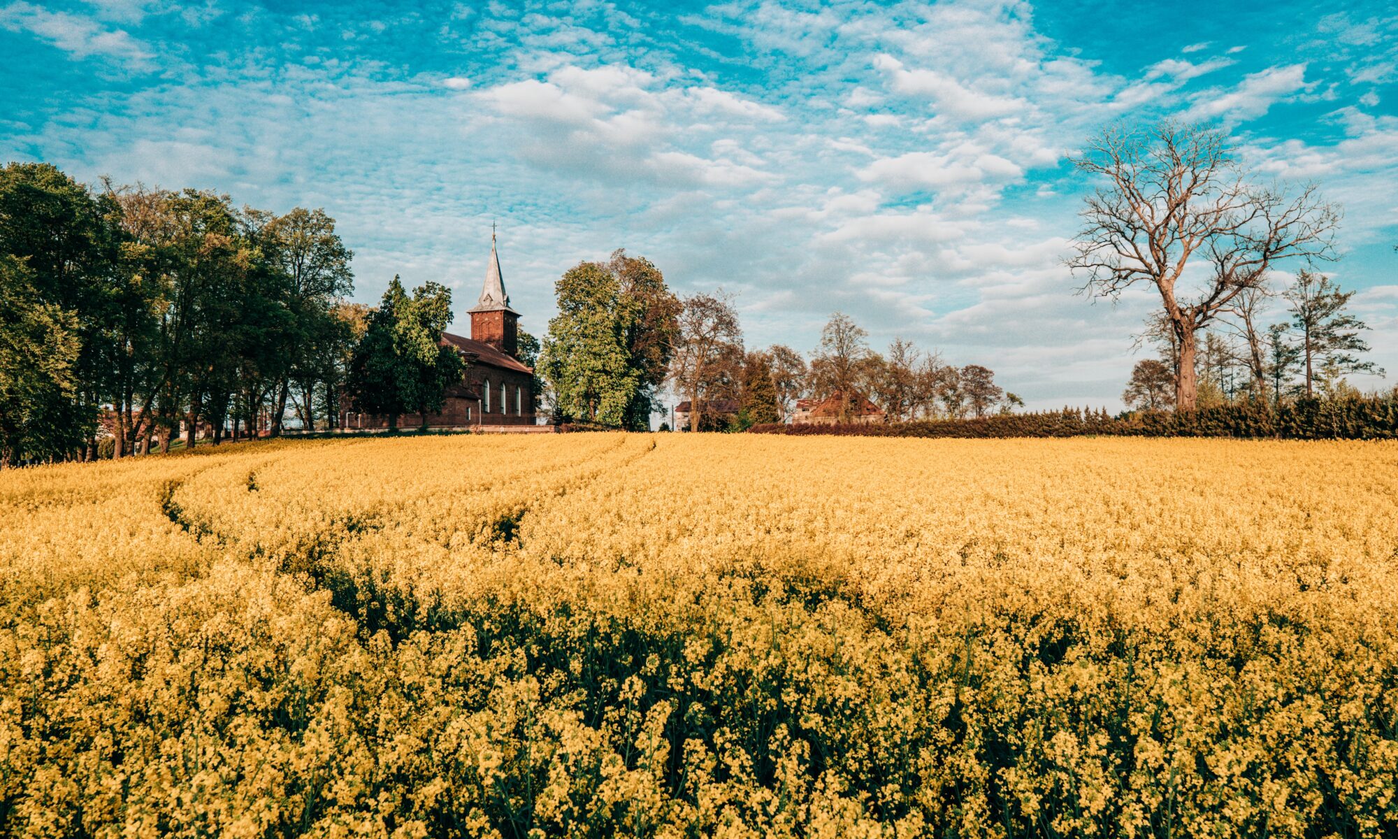 Biuro tłumaczeń Pabianice
