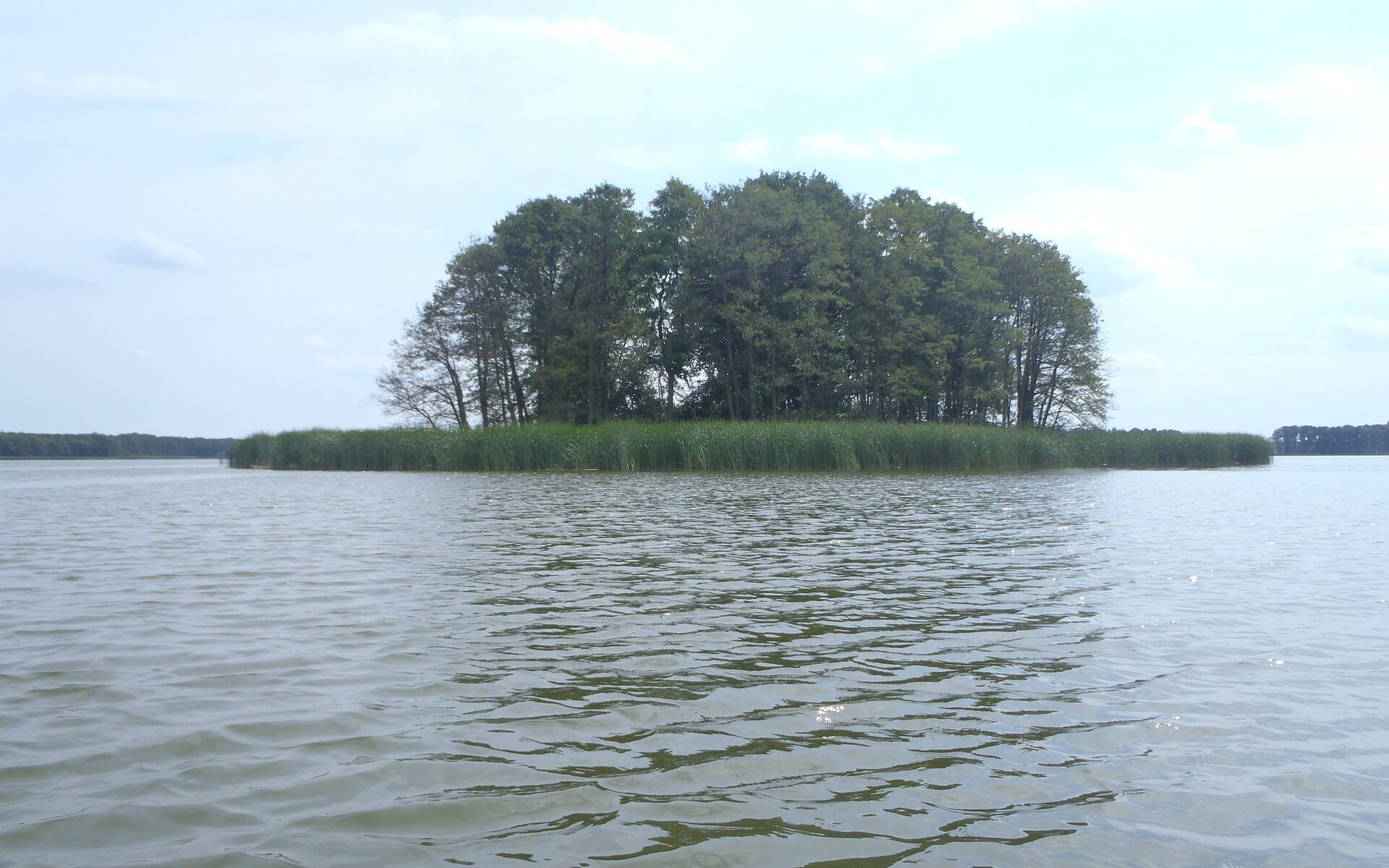 Biuro tłumaczeń Trzciel