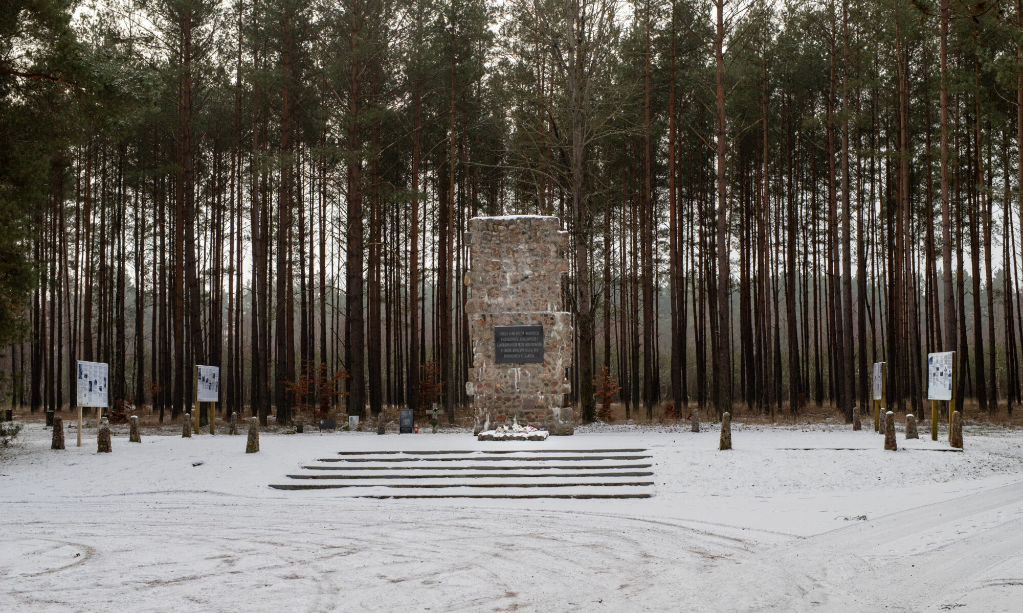 Biuro tłumaczeń Czarne