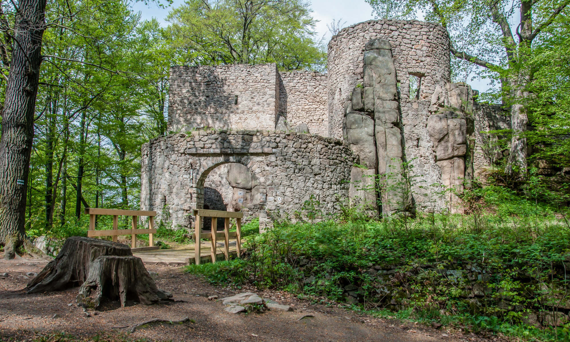Biuro tłumaczeń Janowice Wielkie