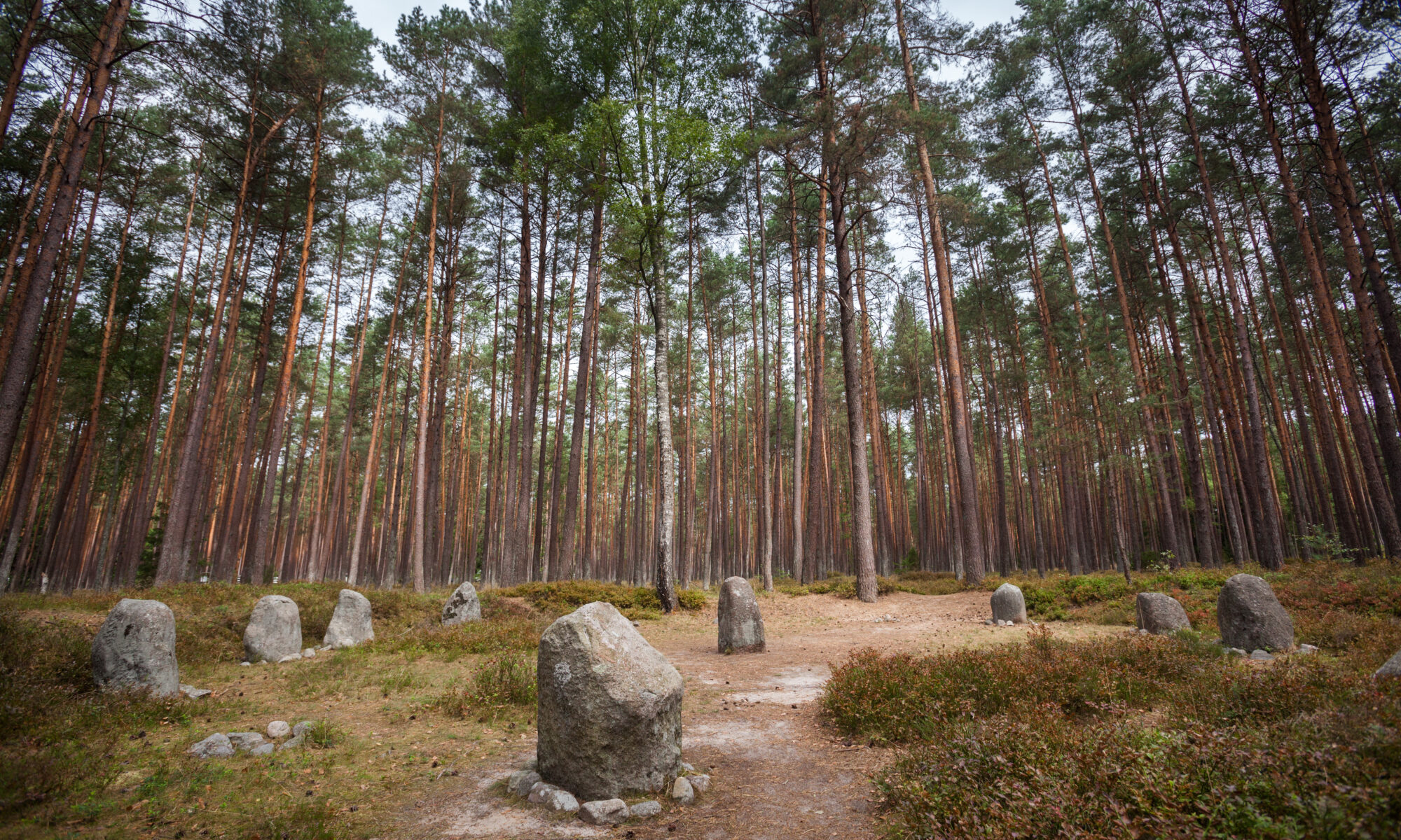 Biuro tłumaczeń Manowo