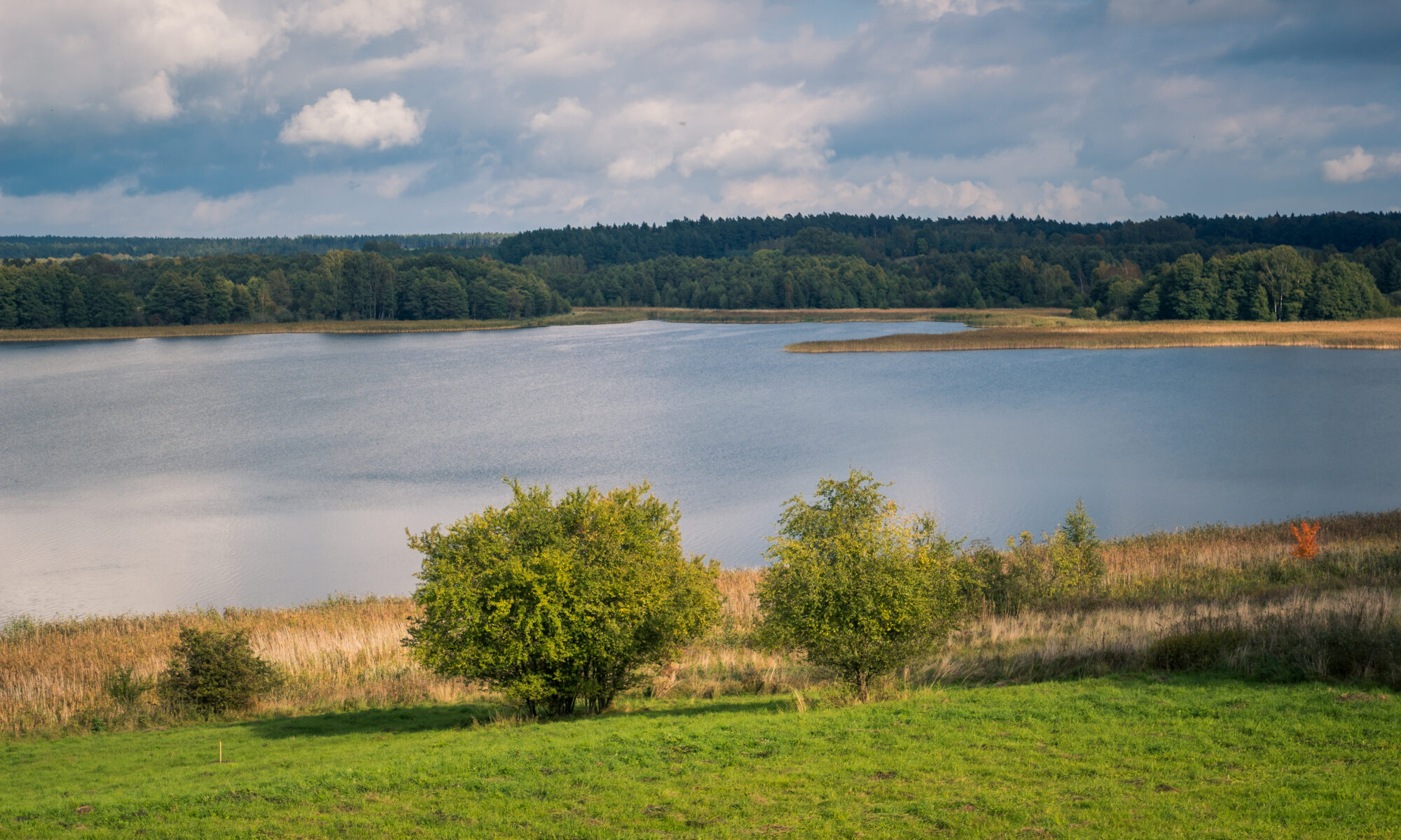Biuro tłumaczeń Pozezdrze
