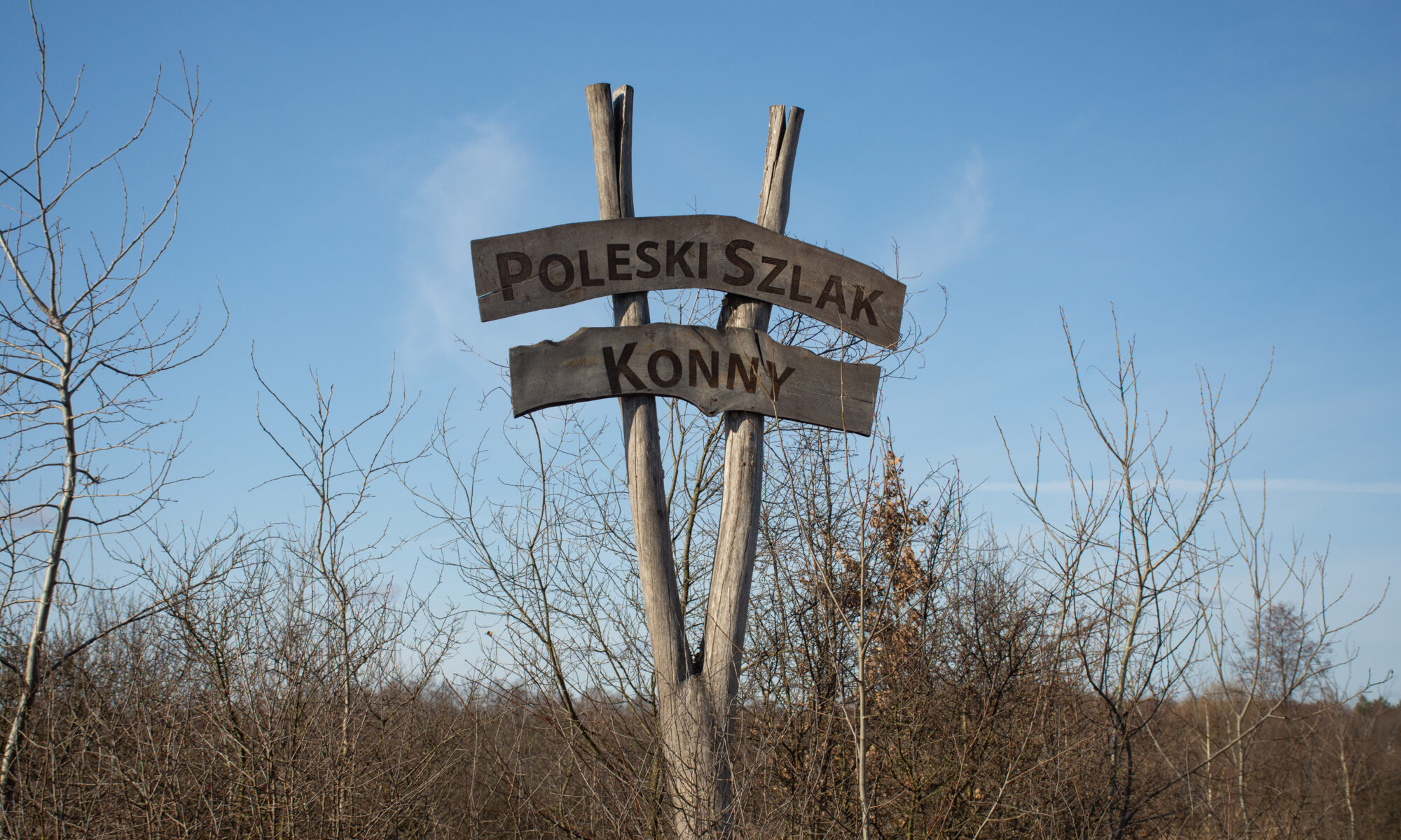 Biuro tłumaczeń Sawin
